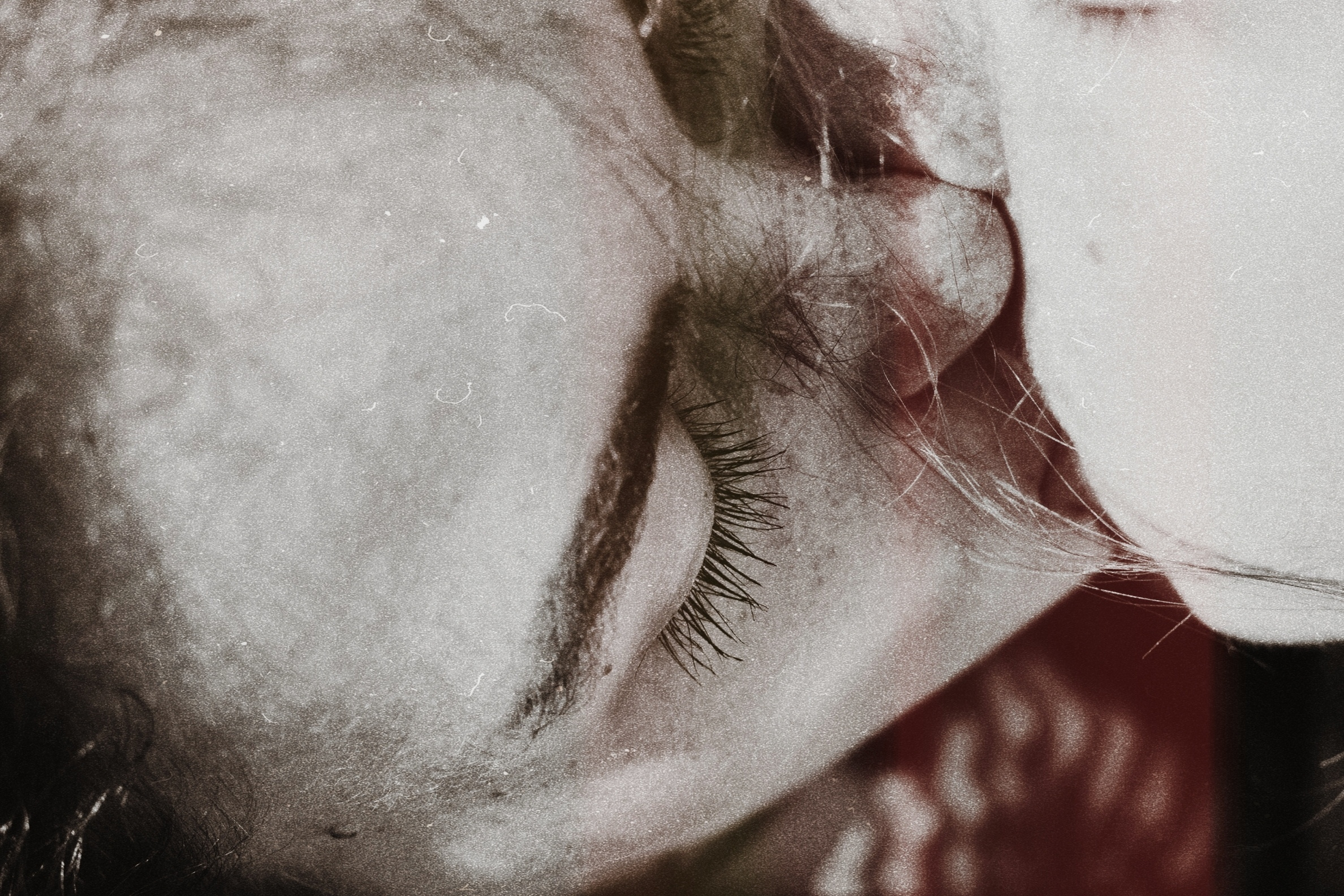 Love story photographer Georgia. Photographer in Georgia UAE Russia Nekit Fox