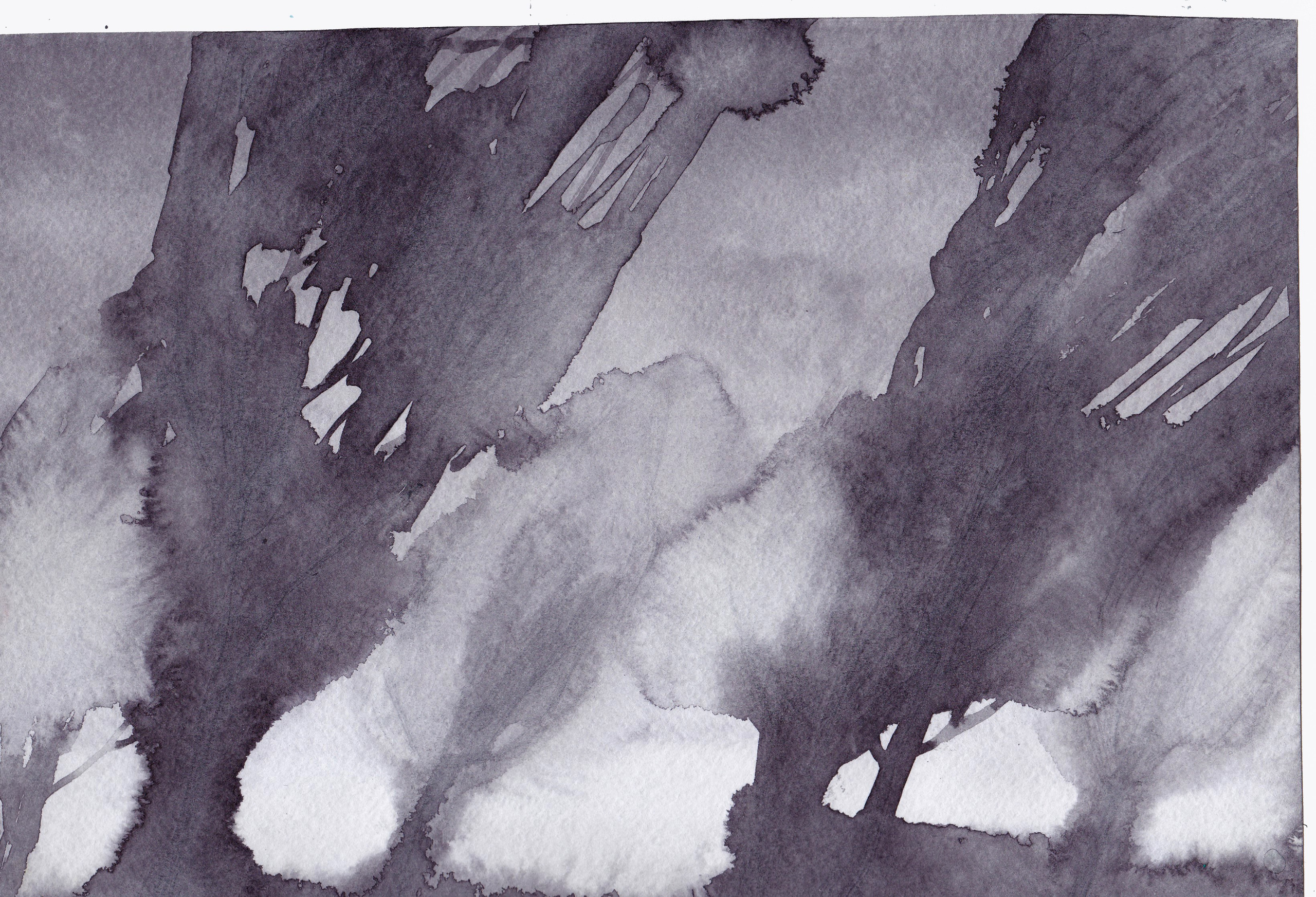 Ink Drawings. Portfolio Birdcrush