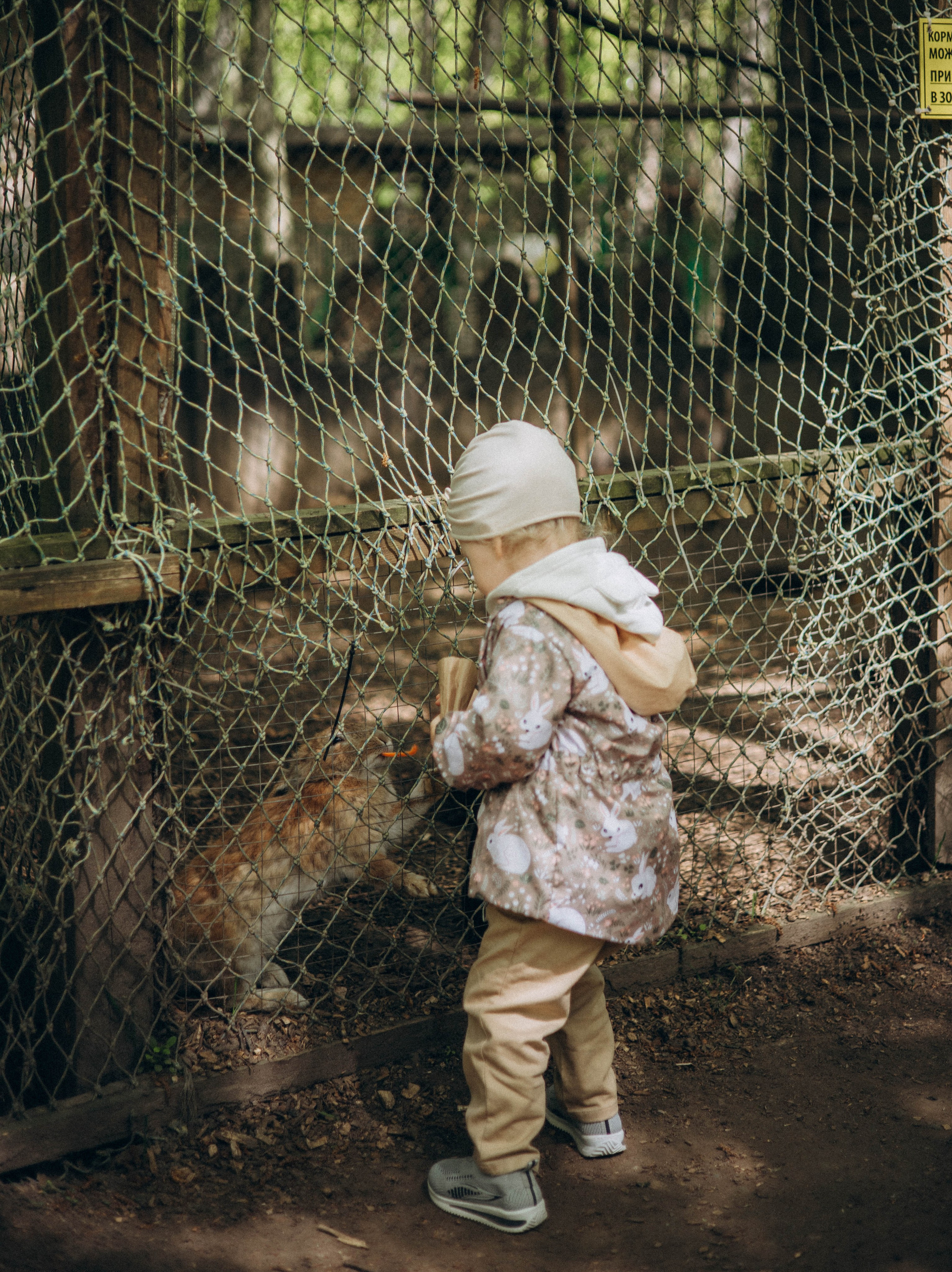 По Калининградской области. Фотограф Кострома | Калининград