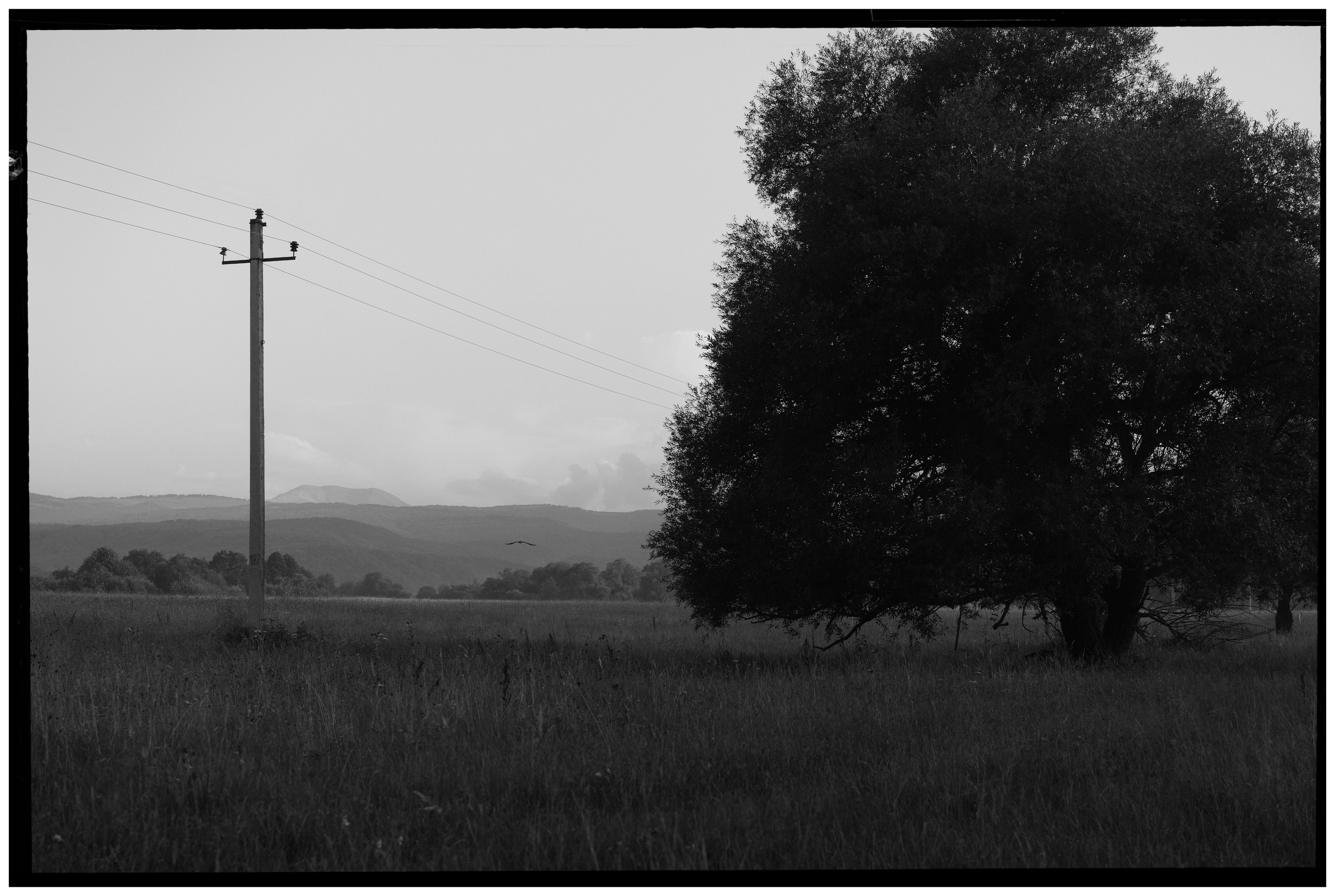 Особый взгляд на людей. Сергей Гаврилов, фотограф