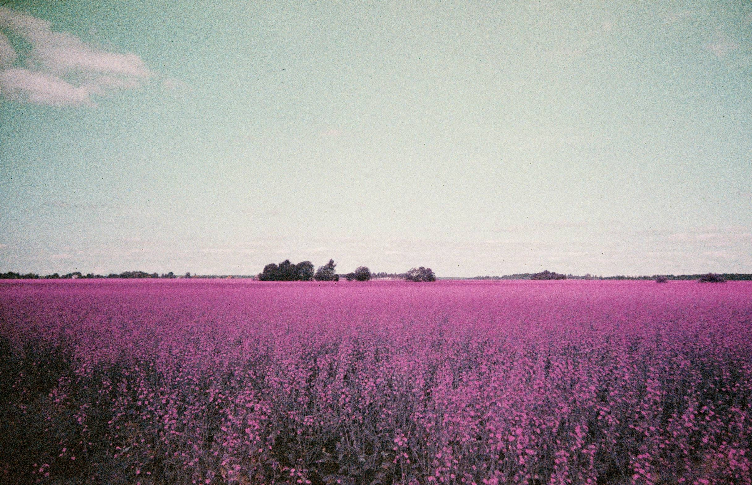 TATIANA DARINA — film photographer in St. Petersburg