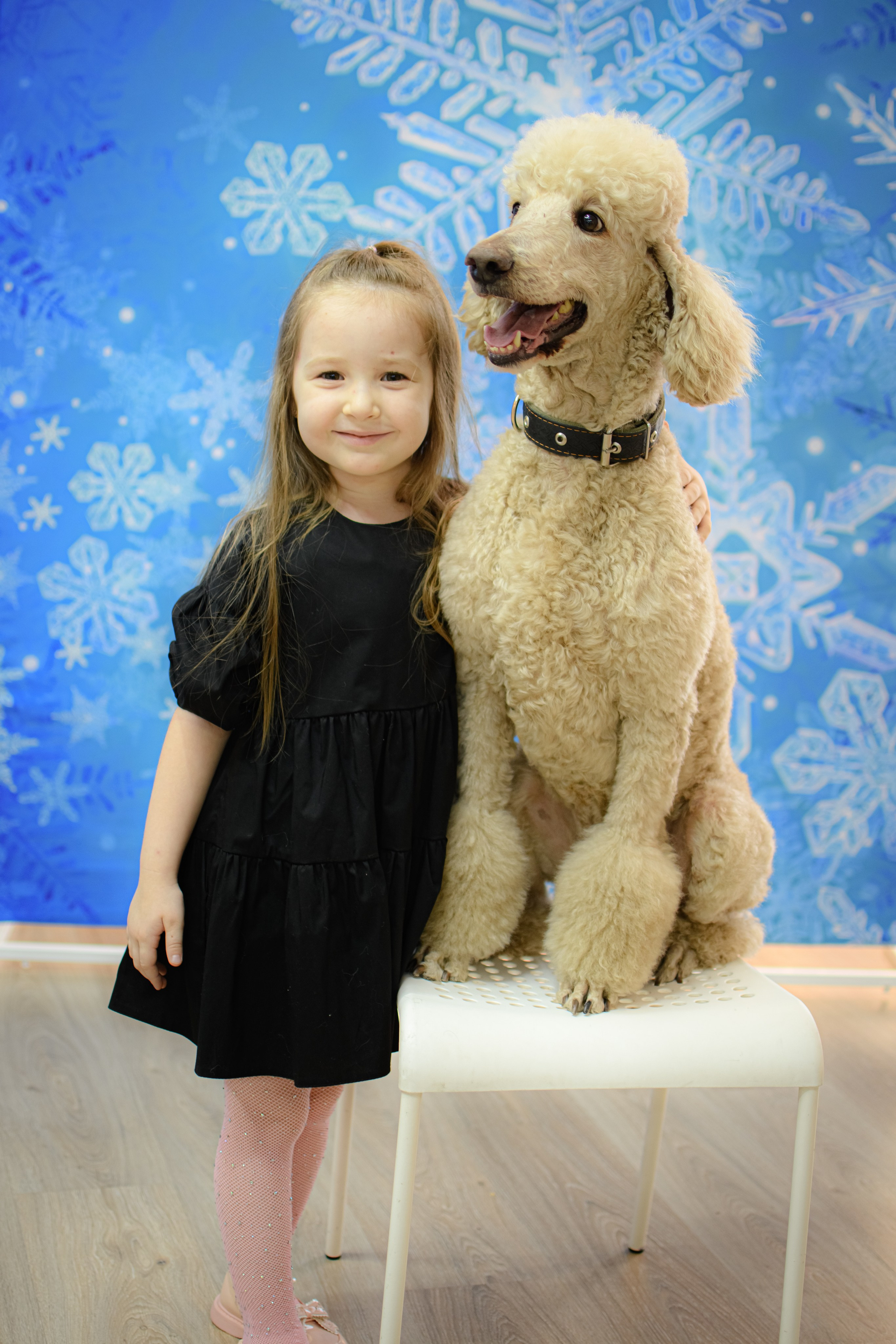 HAPPY NEW YEAR. Photokarish