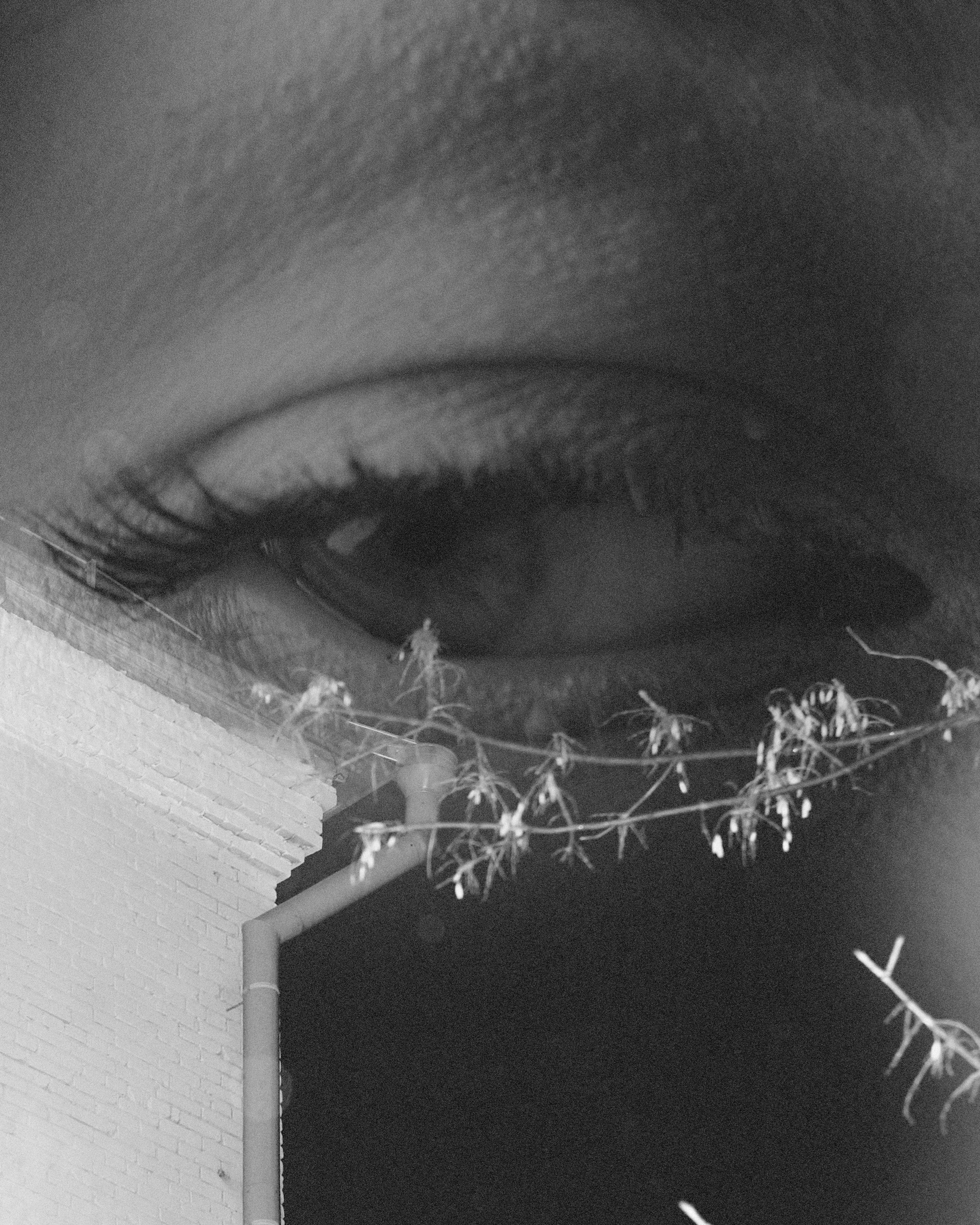 Тайны города. СВРТ 2025. Simpleand1