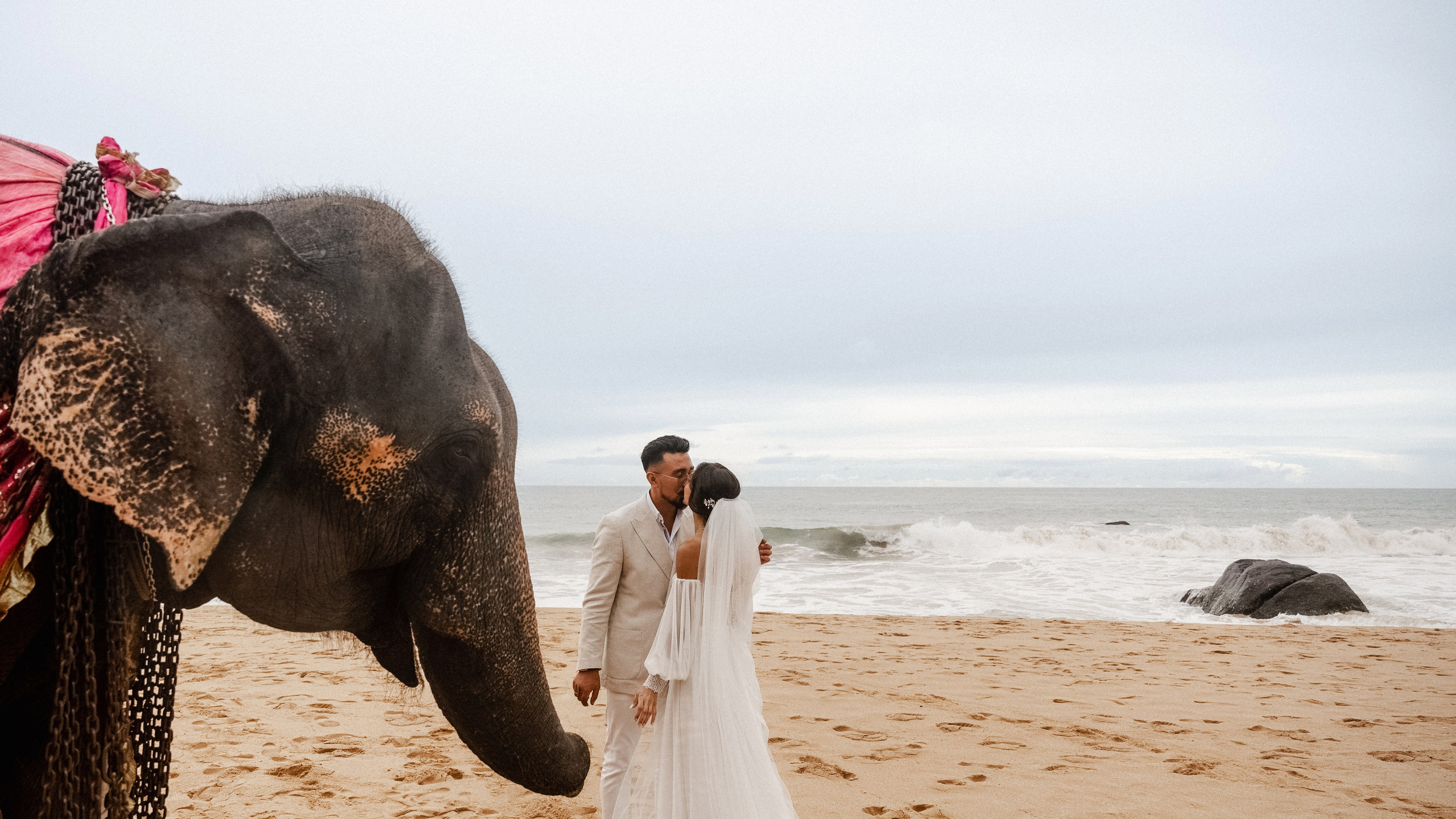 Mirza & Tamilla. Dolce_wedding