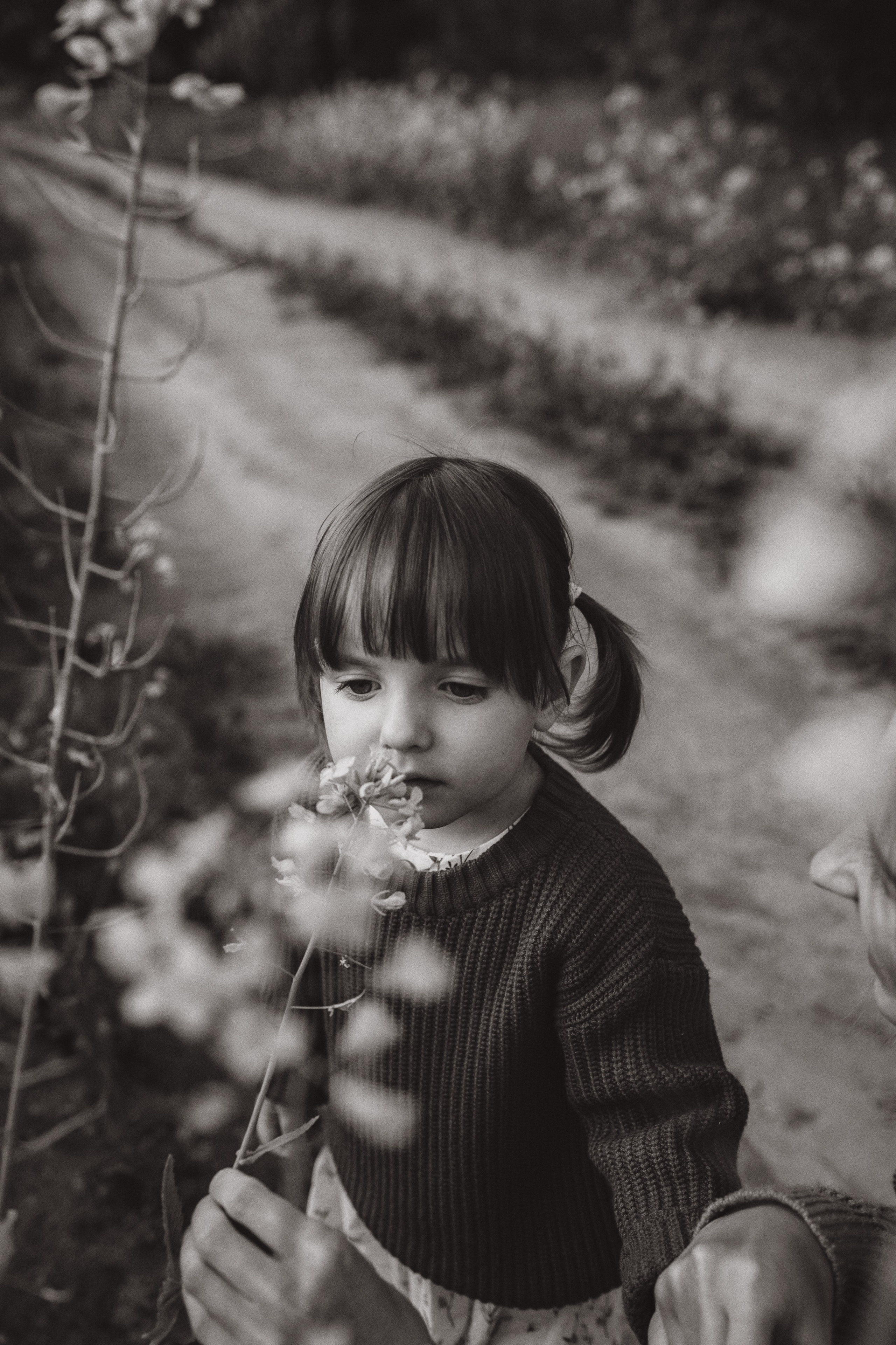 После дождя. Фотограф Елена Рябцева