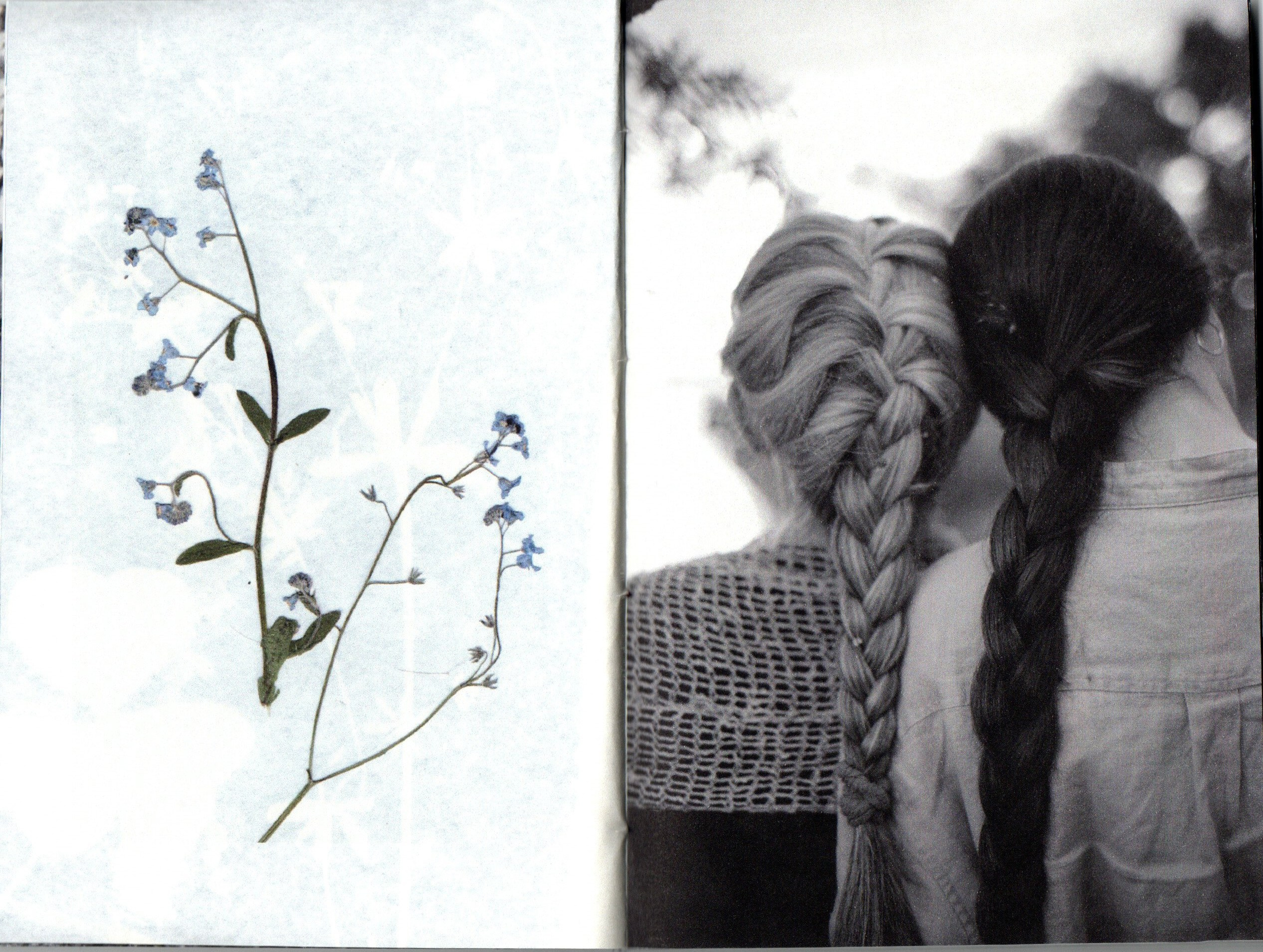 Любители ягодных пирогов. Фотограф Анна Кирнос