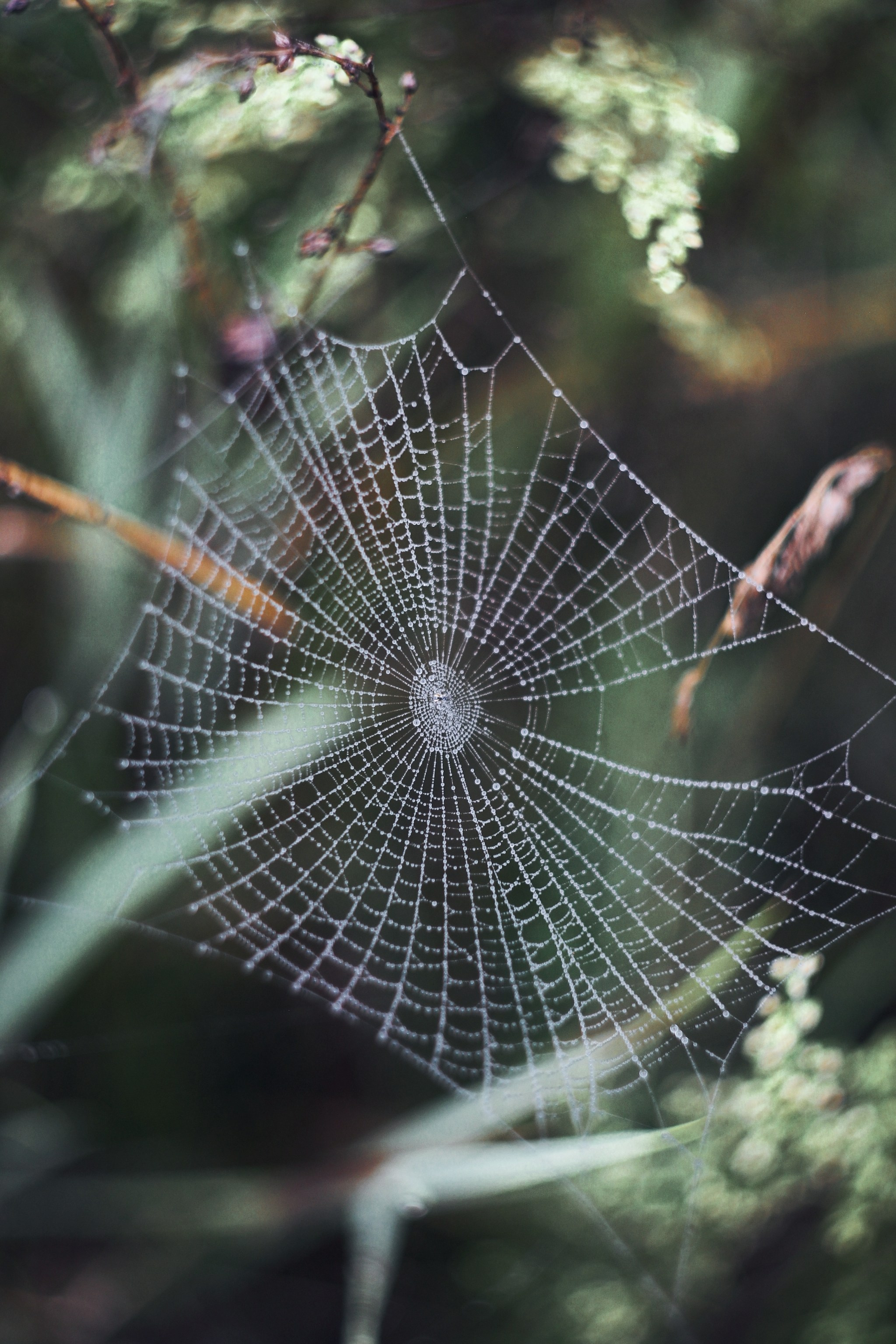 Меланхолия августа. С любовью, фотохудожник