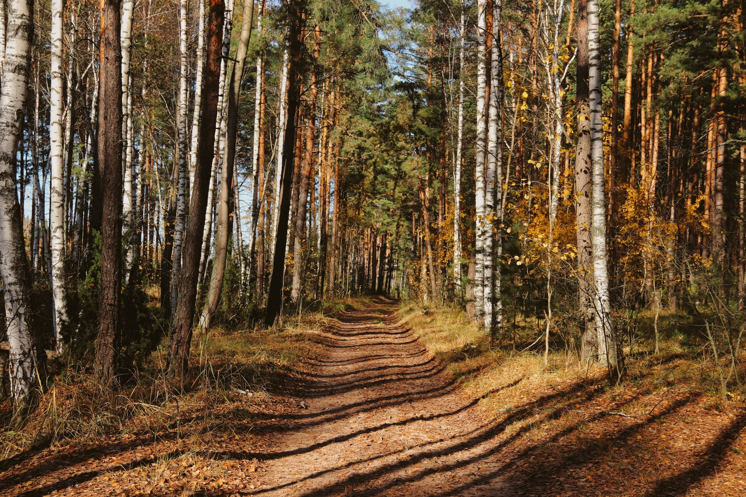 По тропе Паустовского. С любовью, фотохудожник