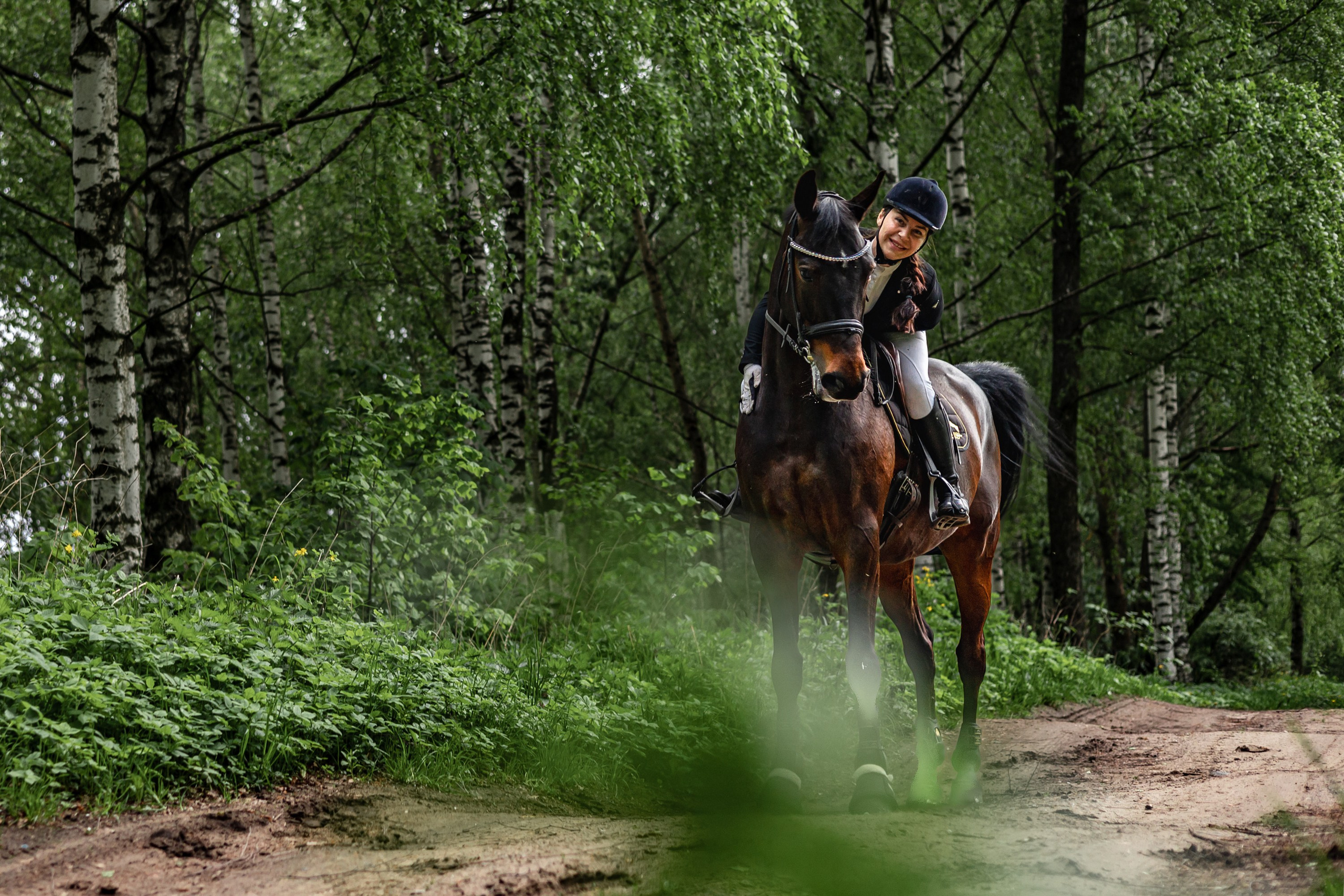 Конное…. Фотограф анималист Аня Ливанова | Рыбинск