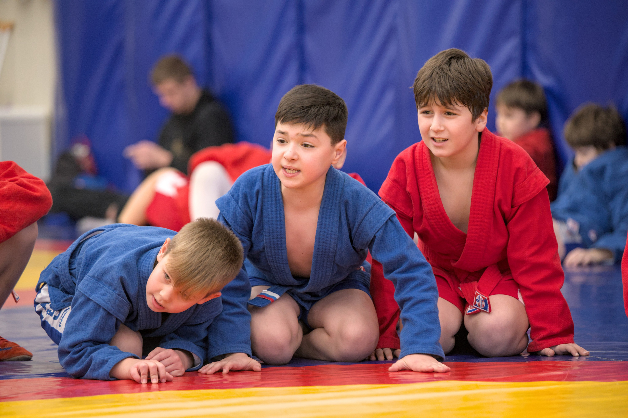 Внутриклубный турнир по самбо и дзюдо. ДСА «Лидер-Спорт». Фото детских спортивных мероприятий и всякое интересное через объектив
