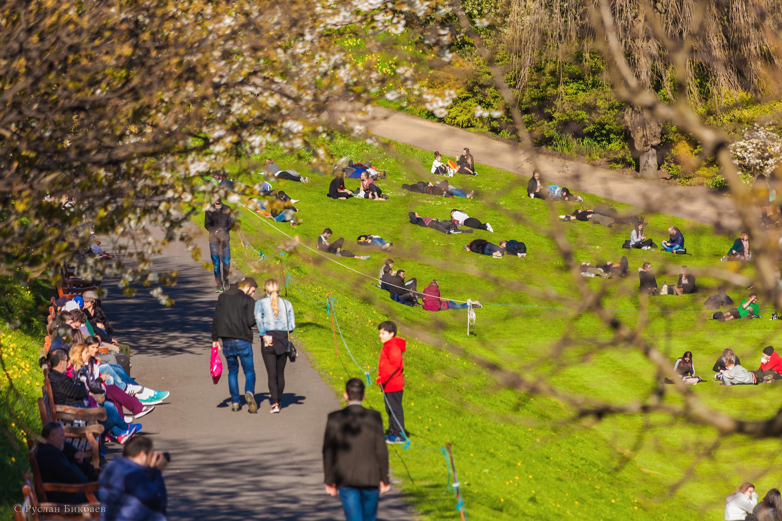 ШОНТЛАДНИЯ / SCOTLAND. Главная