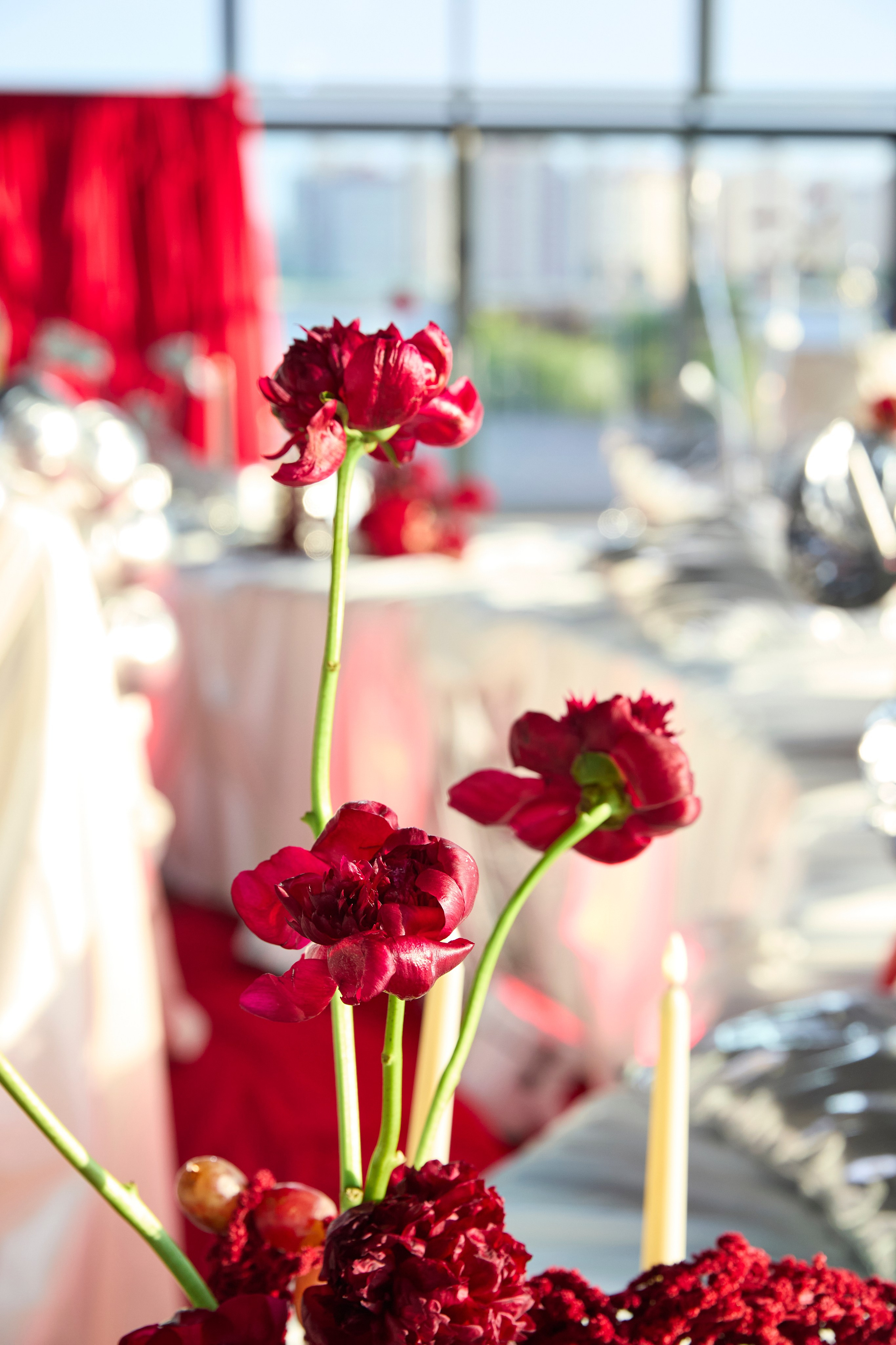 Роял Бич. Свадебный фотограф Анастасия Казакова