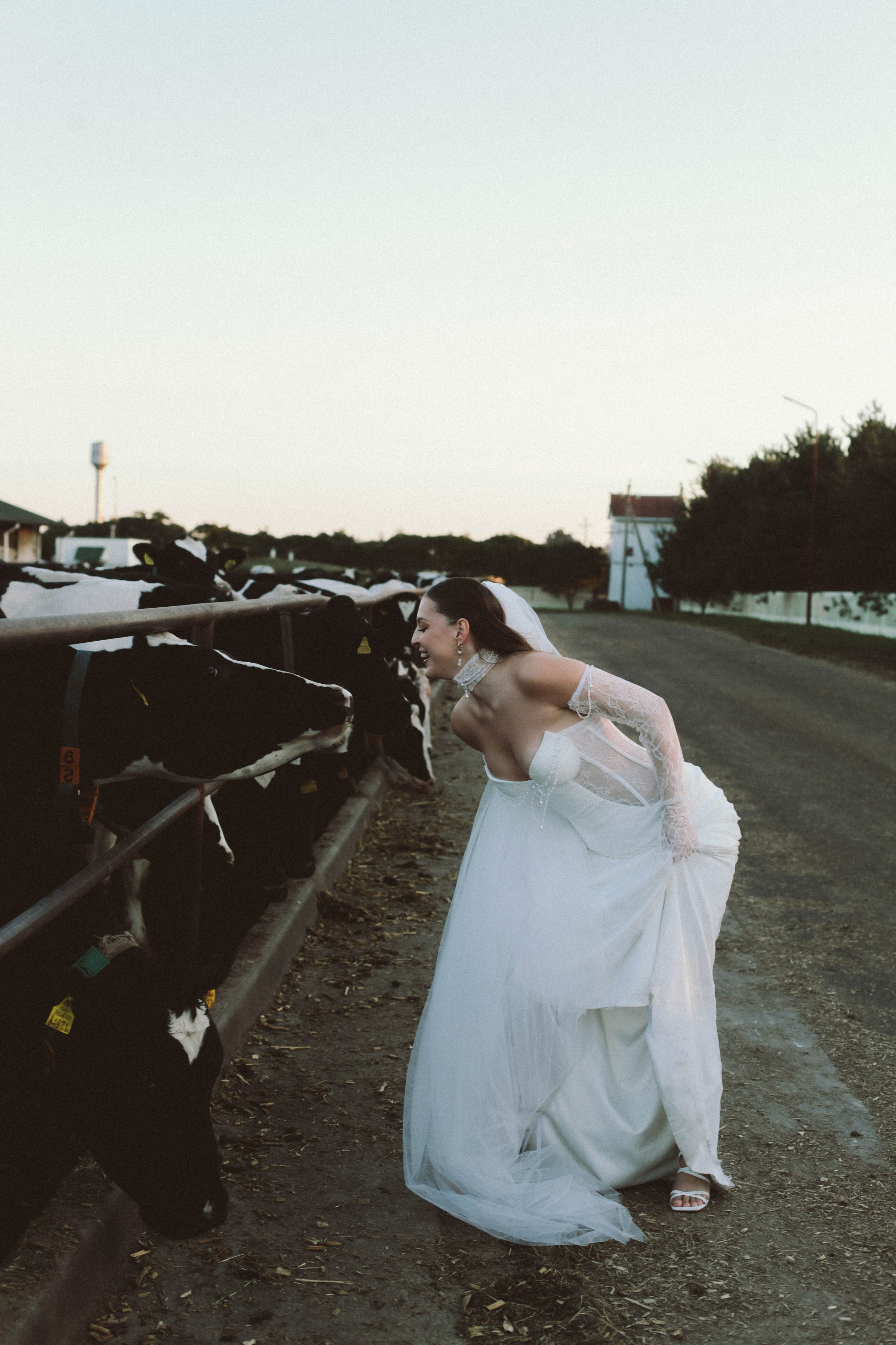 Свадебные прогулки