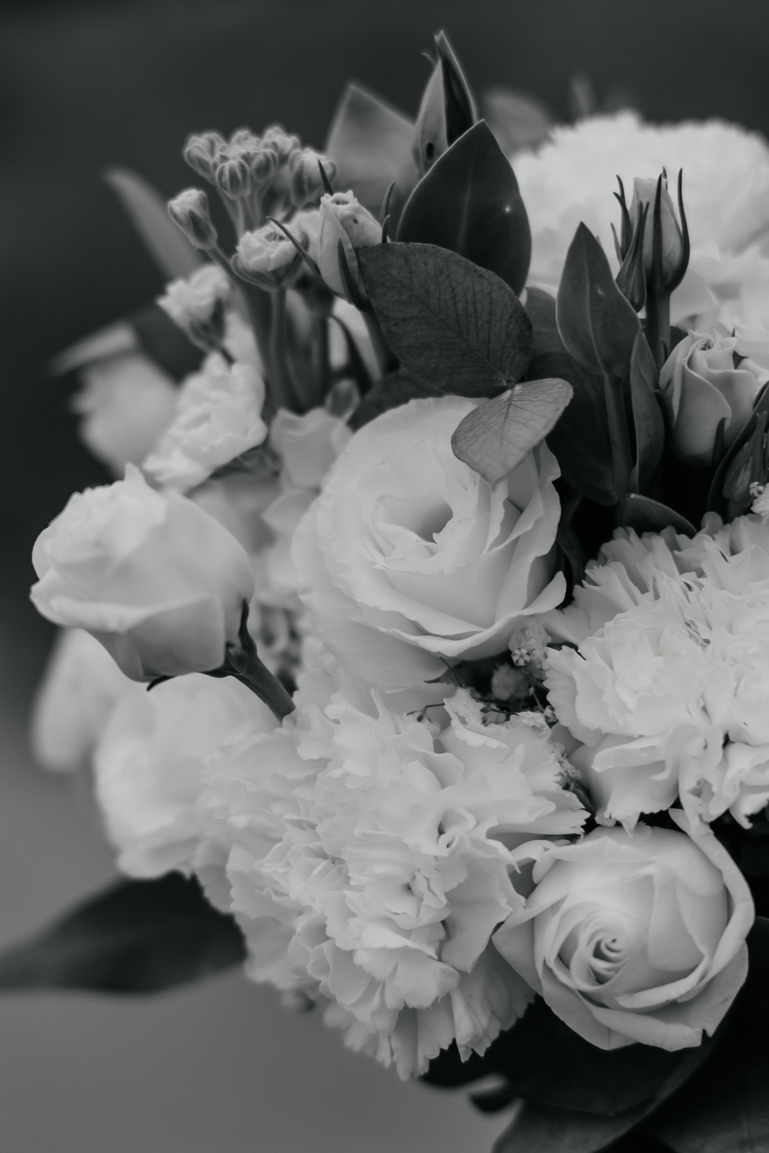 I&V. Фотограф Таганрог Хребет София