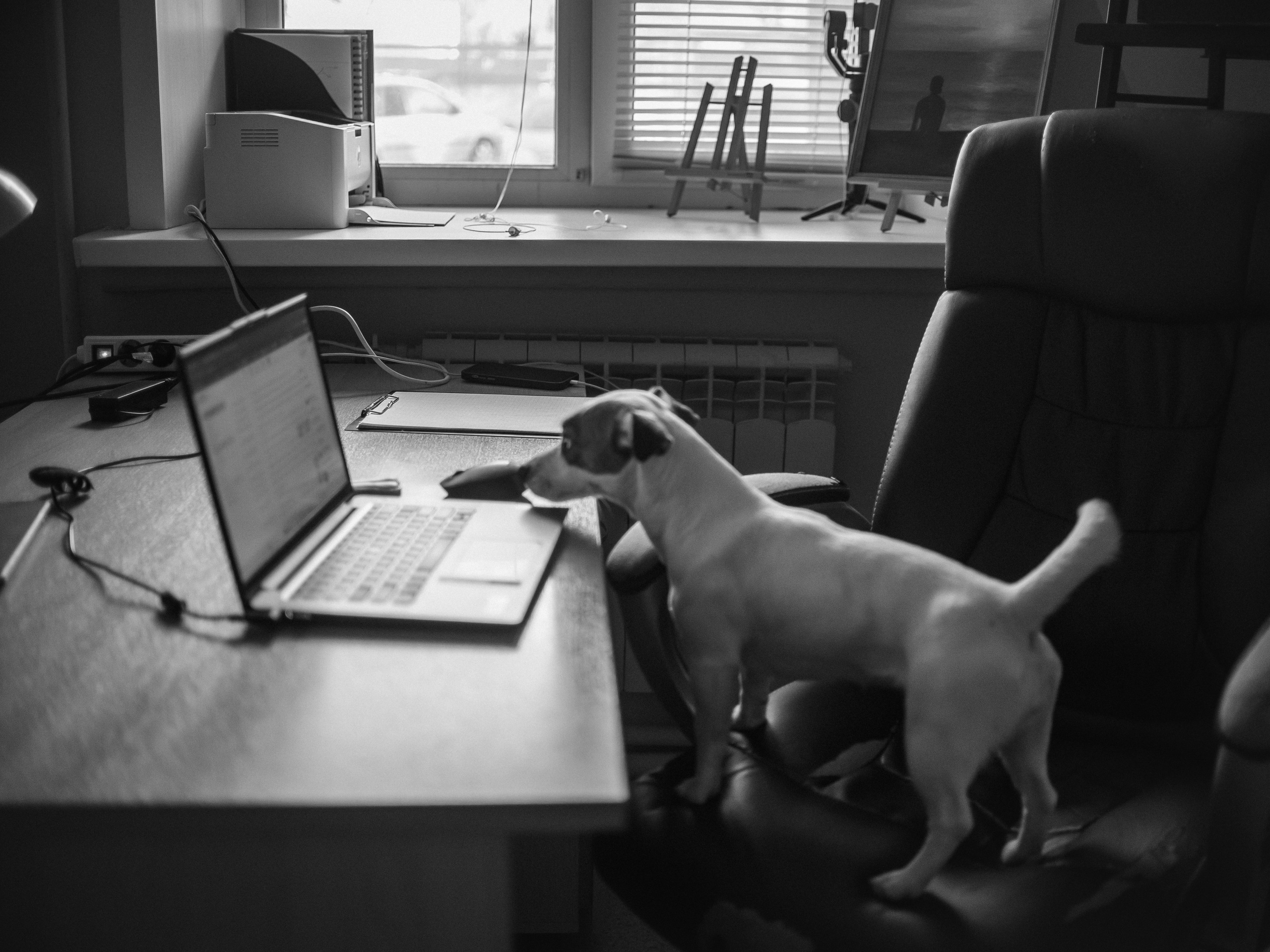 Дарья Разон. Фотограф Любовь Подосенова Липецк|Воронеж