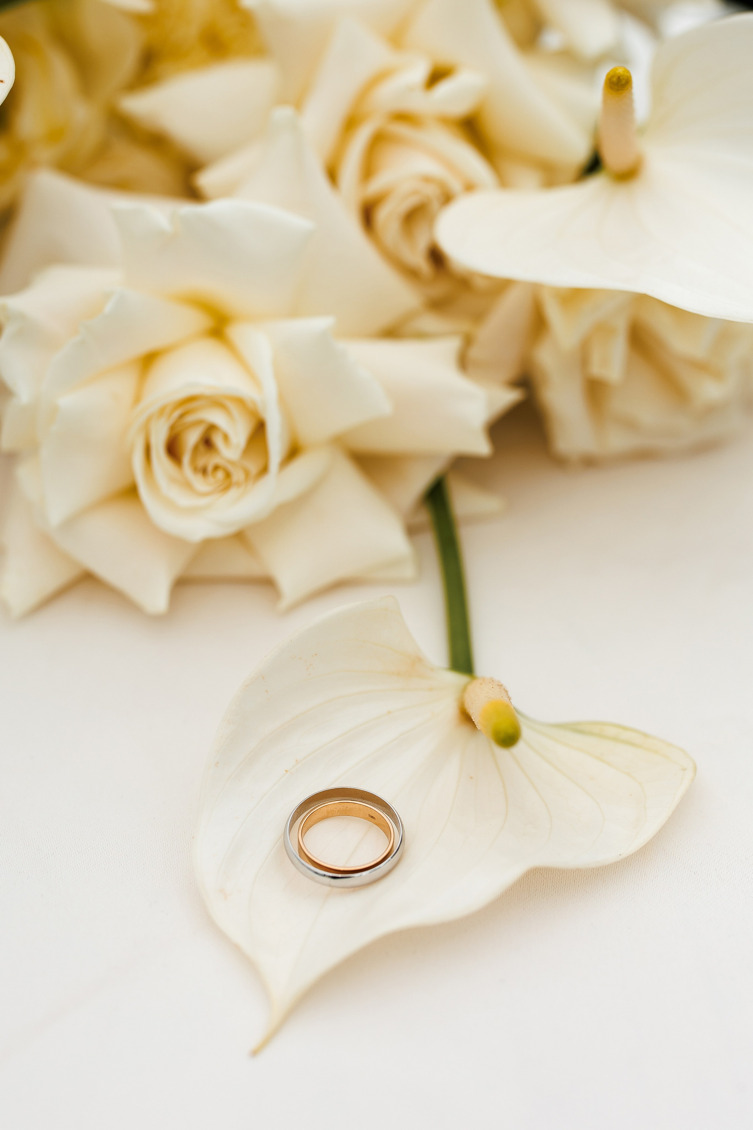 Кирилл & Анастасия. Организатор- Елена Гаманович. Главная