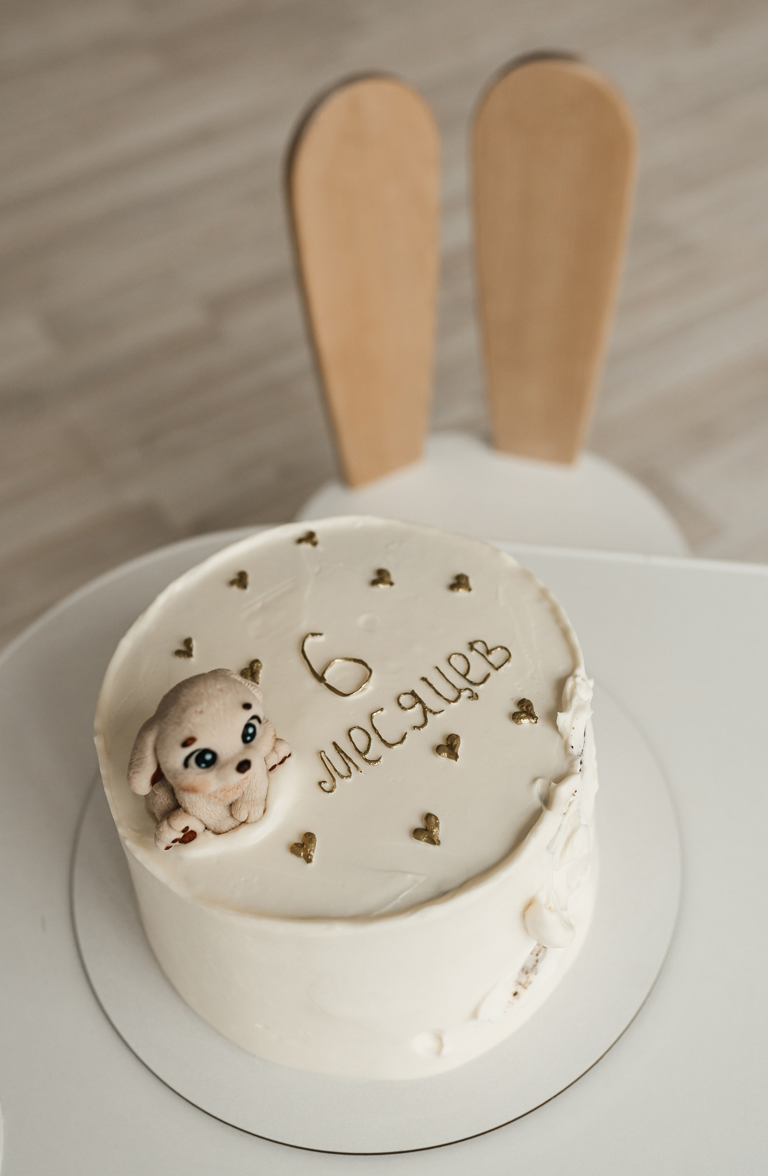 Савелию 6 месяцев. Фотограф Ким Наталья в Красноярске