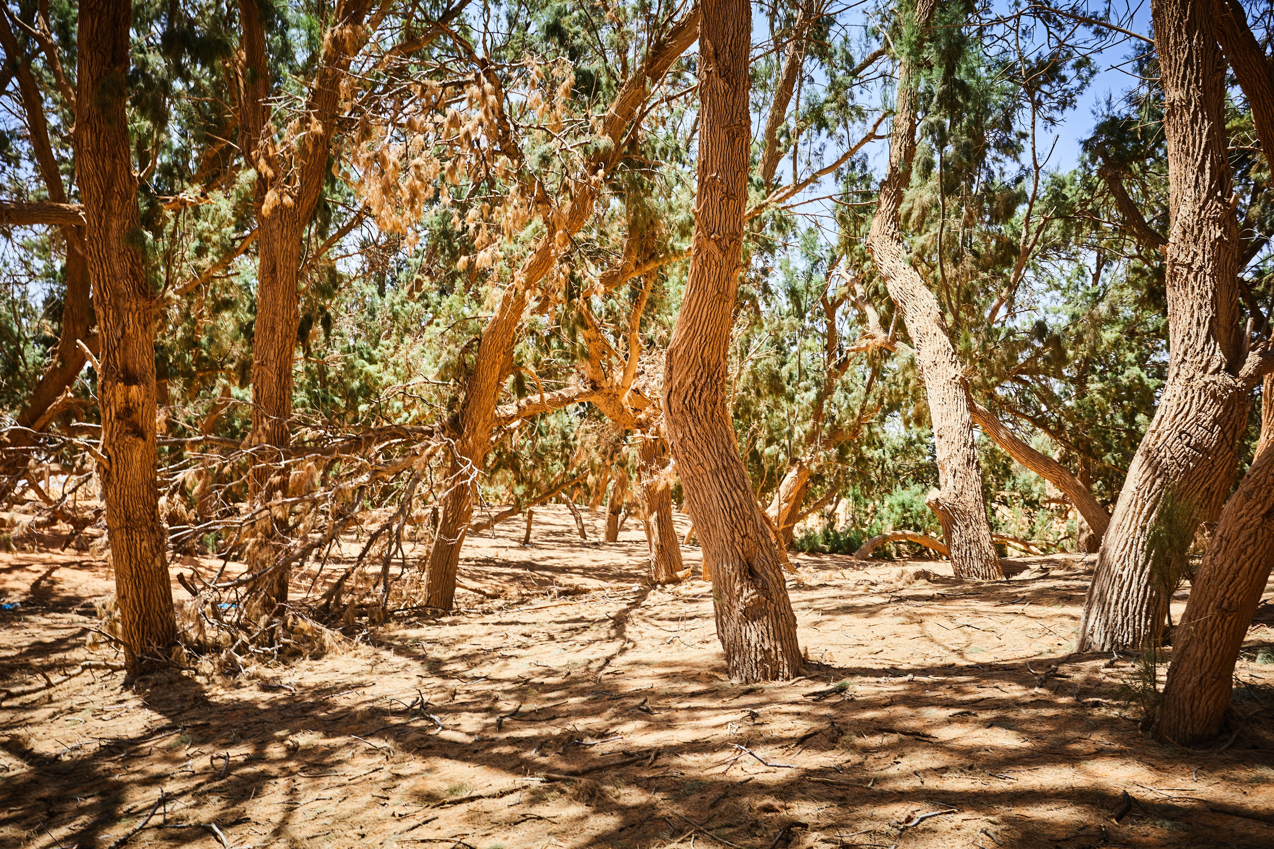 Тунис. Рекламный коммерческий фотограф в Москве Владимир Лукьянов