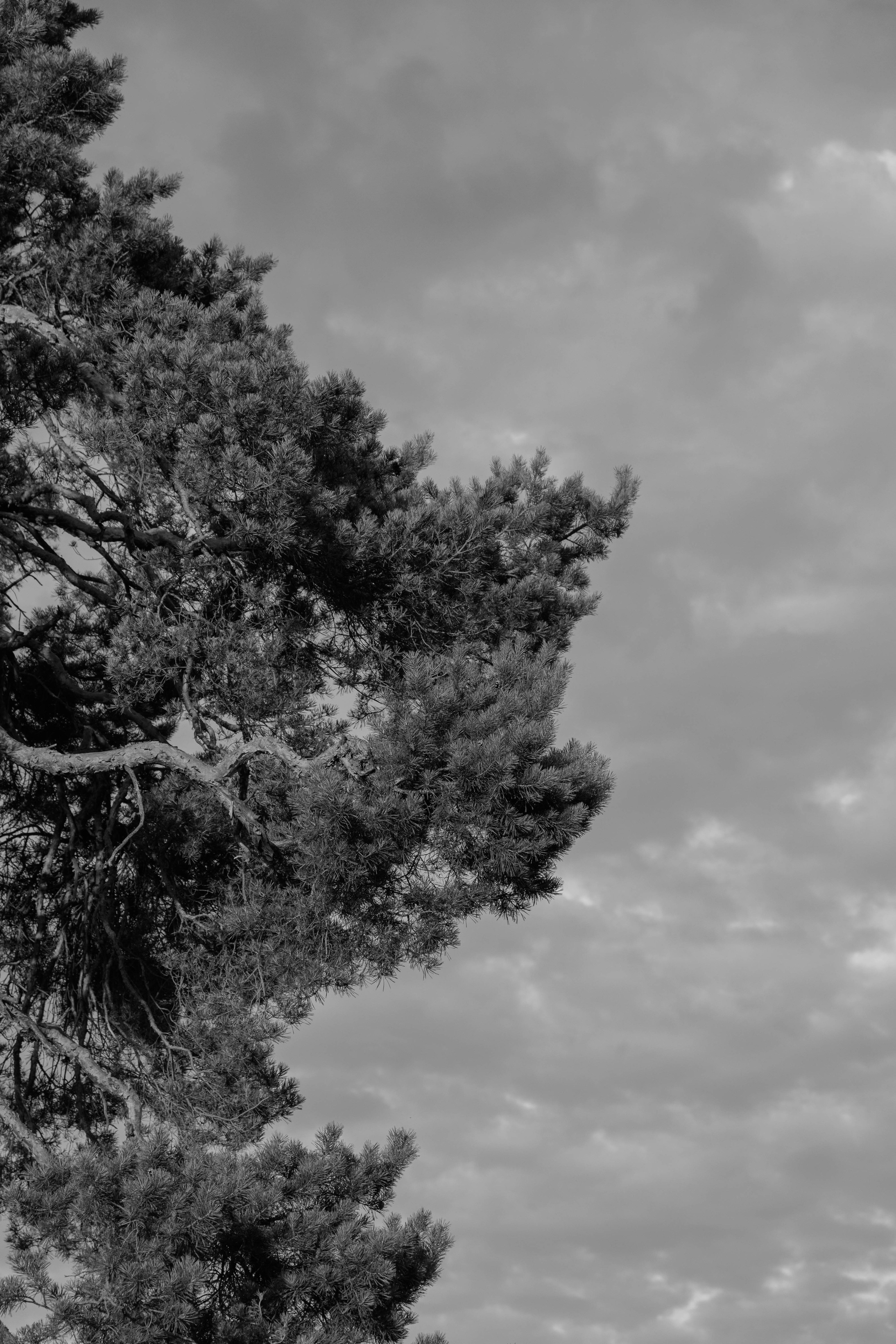 Беременность. Миша и Рита. Фотограф Юсова Мария