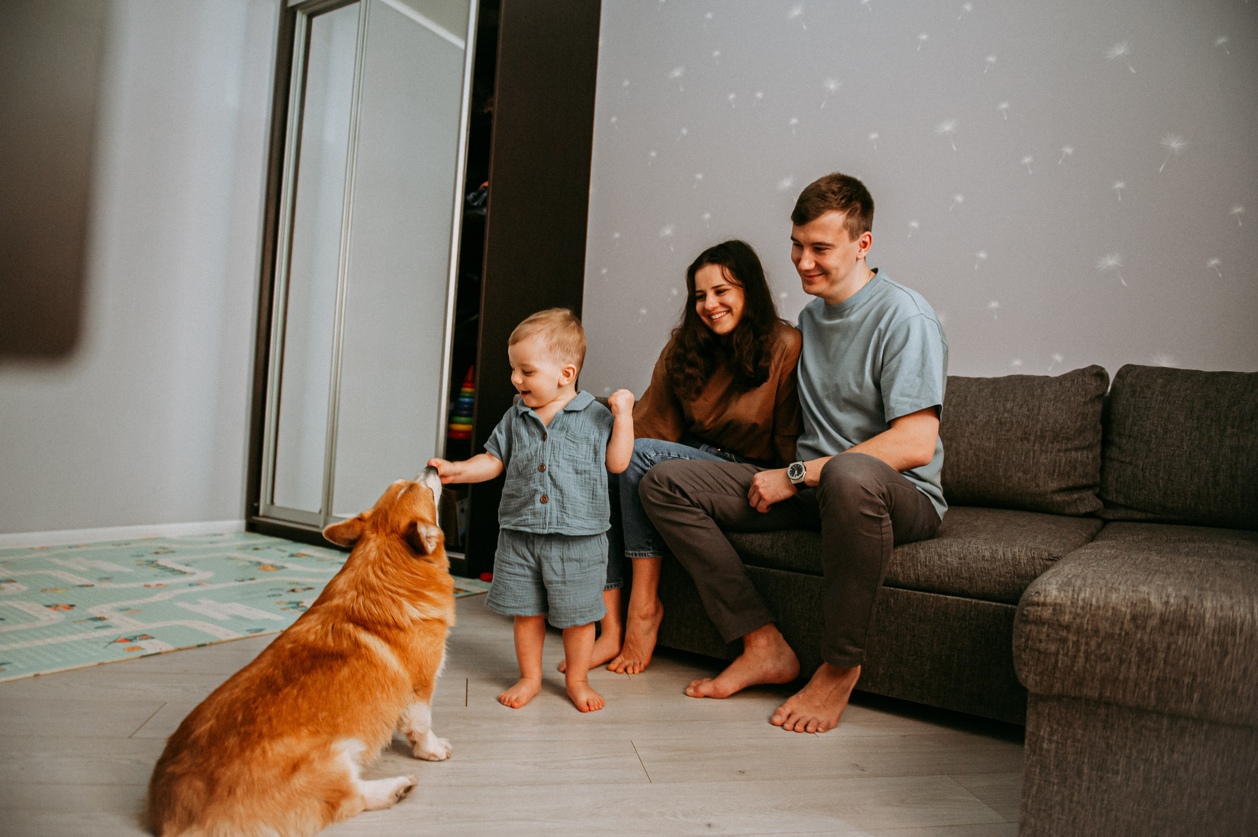 ребенок гладит корги