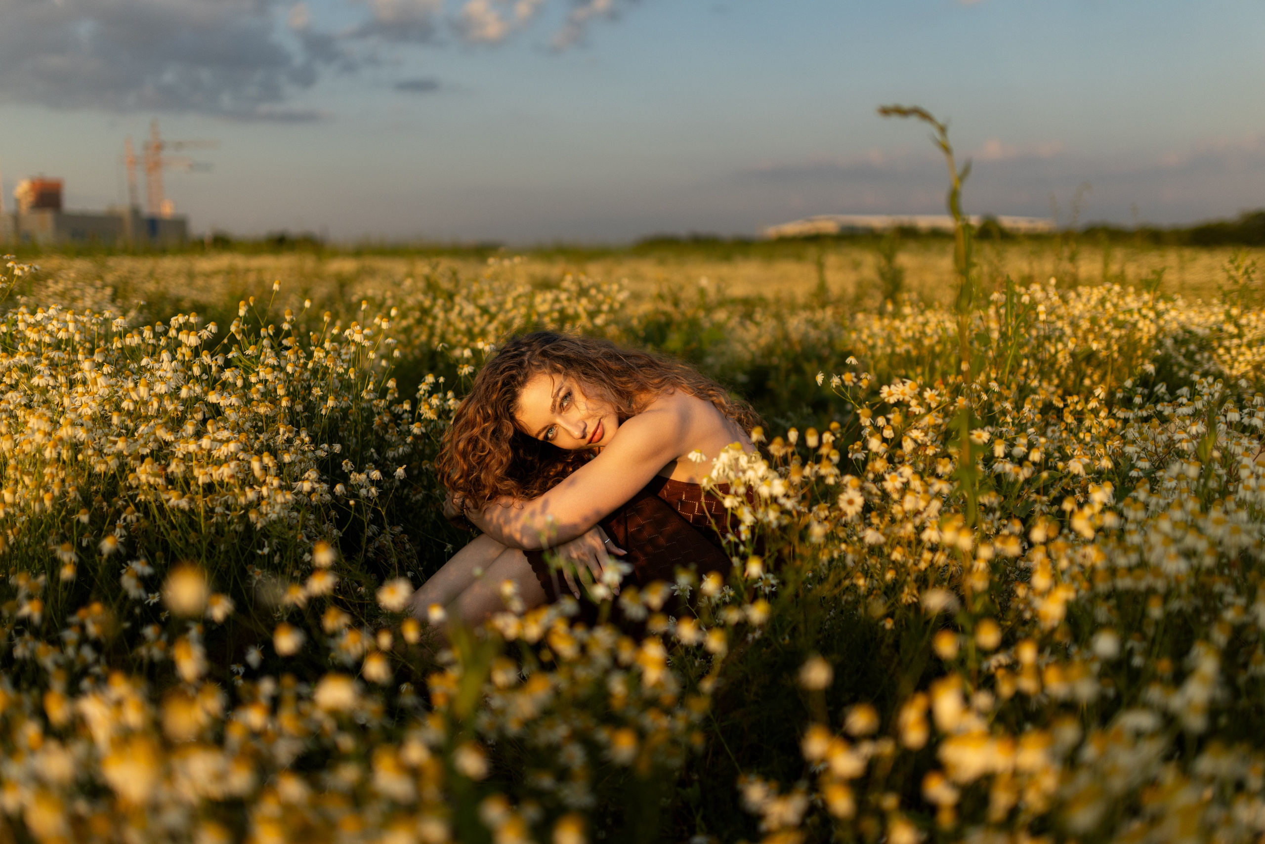 Фотосет на рассвете с Дианой в поле ромашек и пшеницы в формате для «себя». Дмитрий Шульгин, портретный фотограф в Воронеже