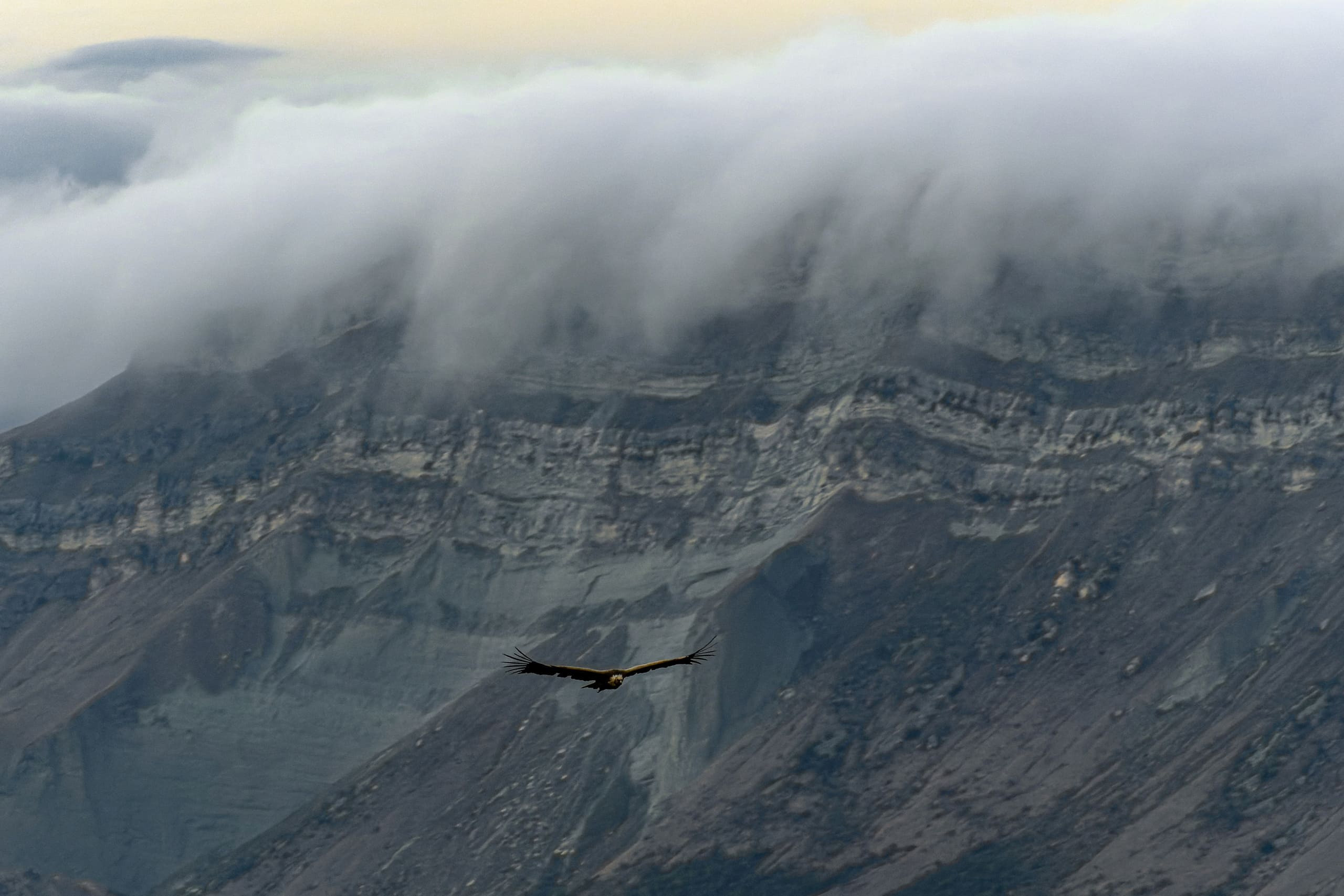 Дагестан 2022. Алексей Туренков — фото, видео, дизайн