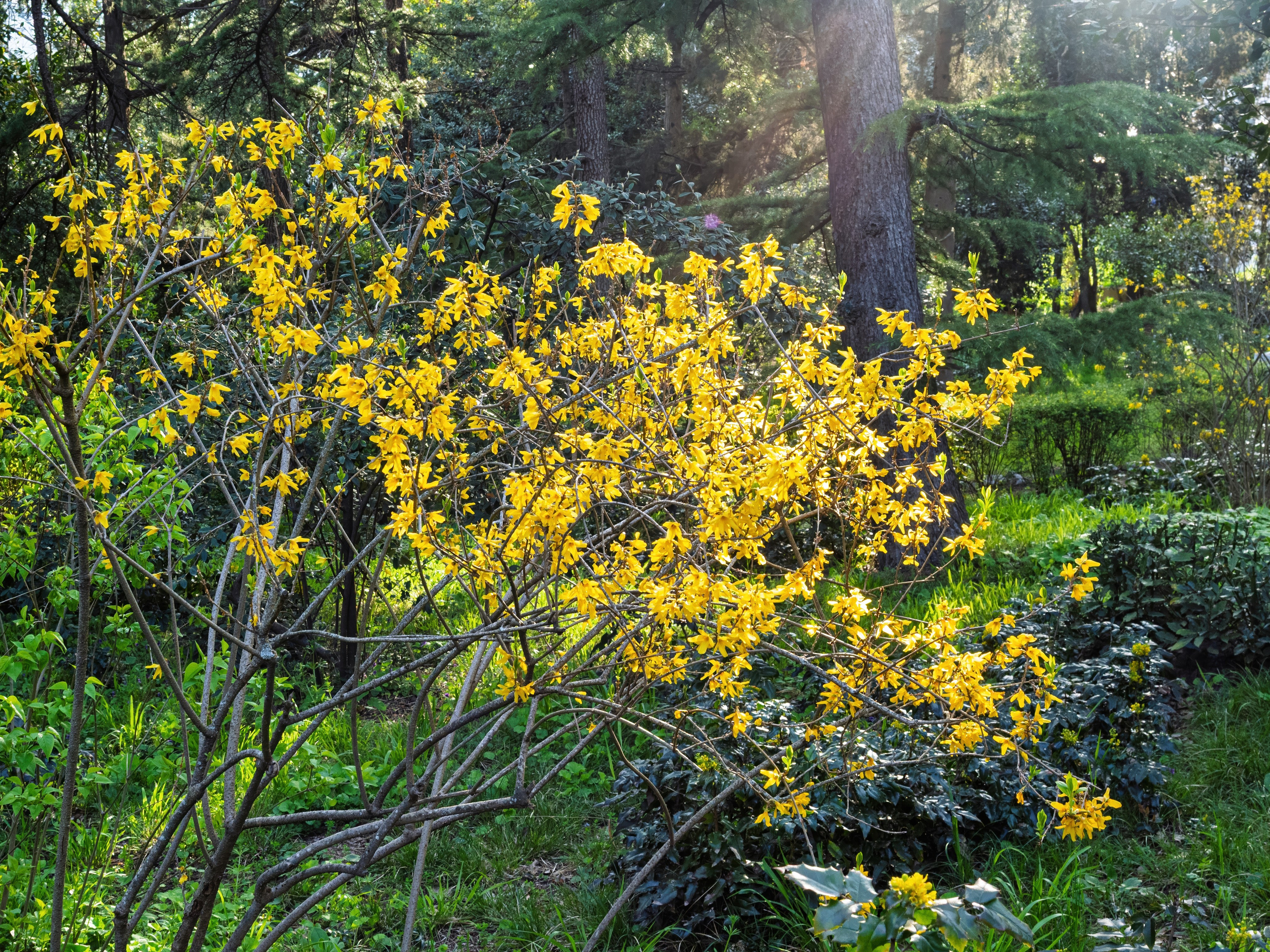 Крым, Утес, 2021 год. Фотограф Никифоров-Гордеев Сергей. Москва и МО