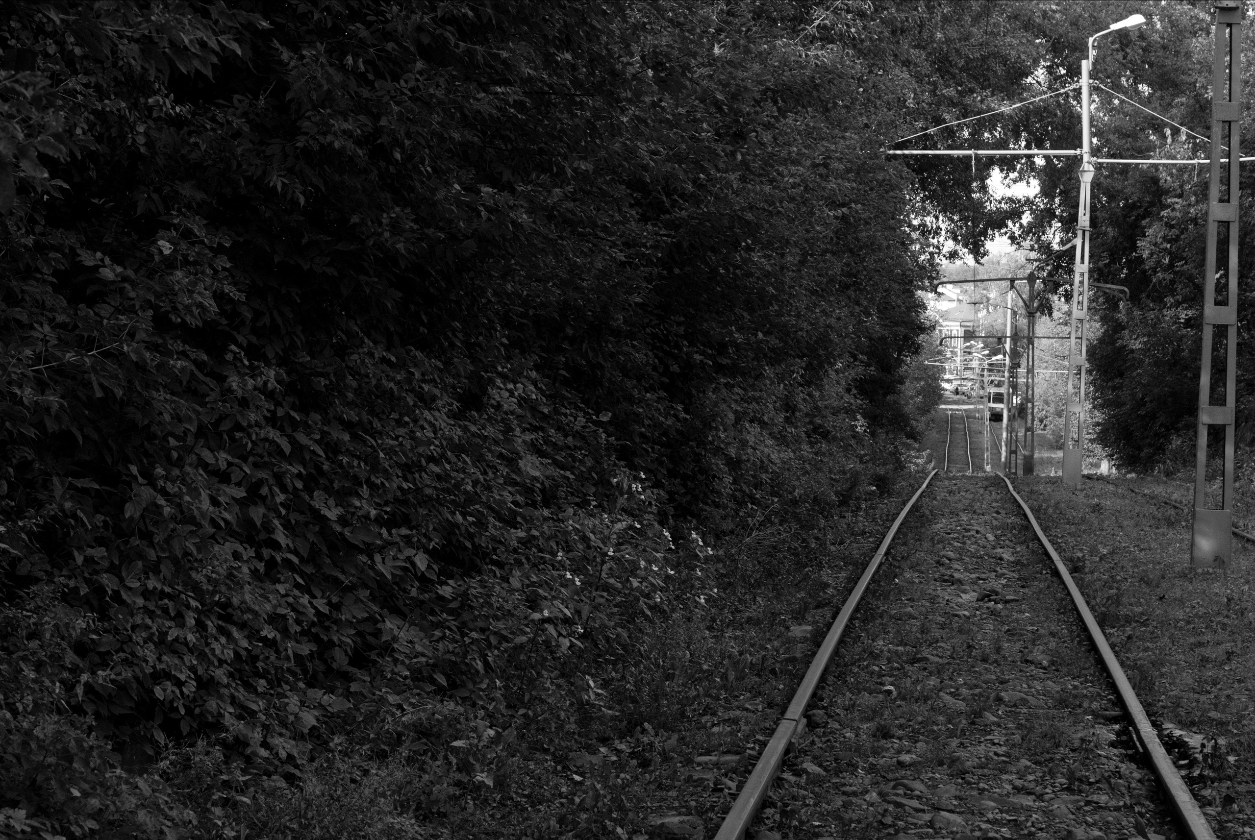 Внутривенные сны (2018-2023)