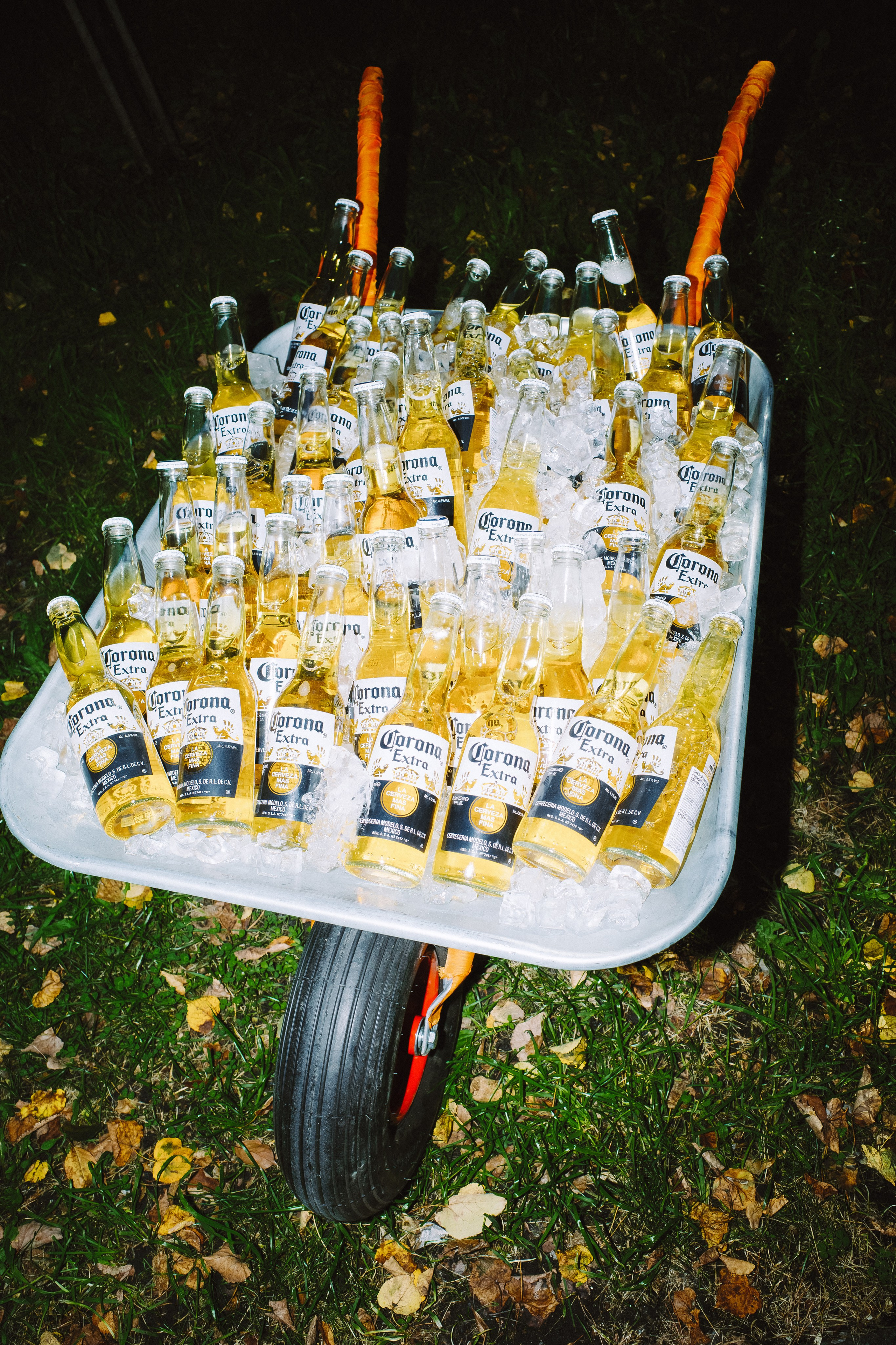 Антонина & Ярослав