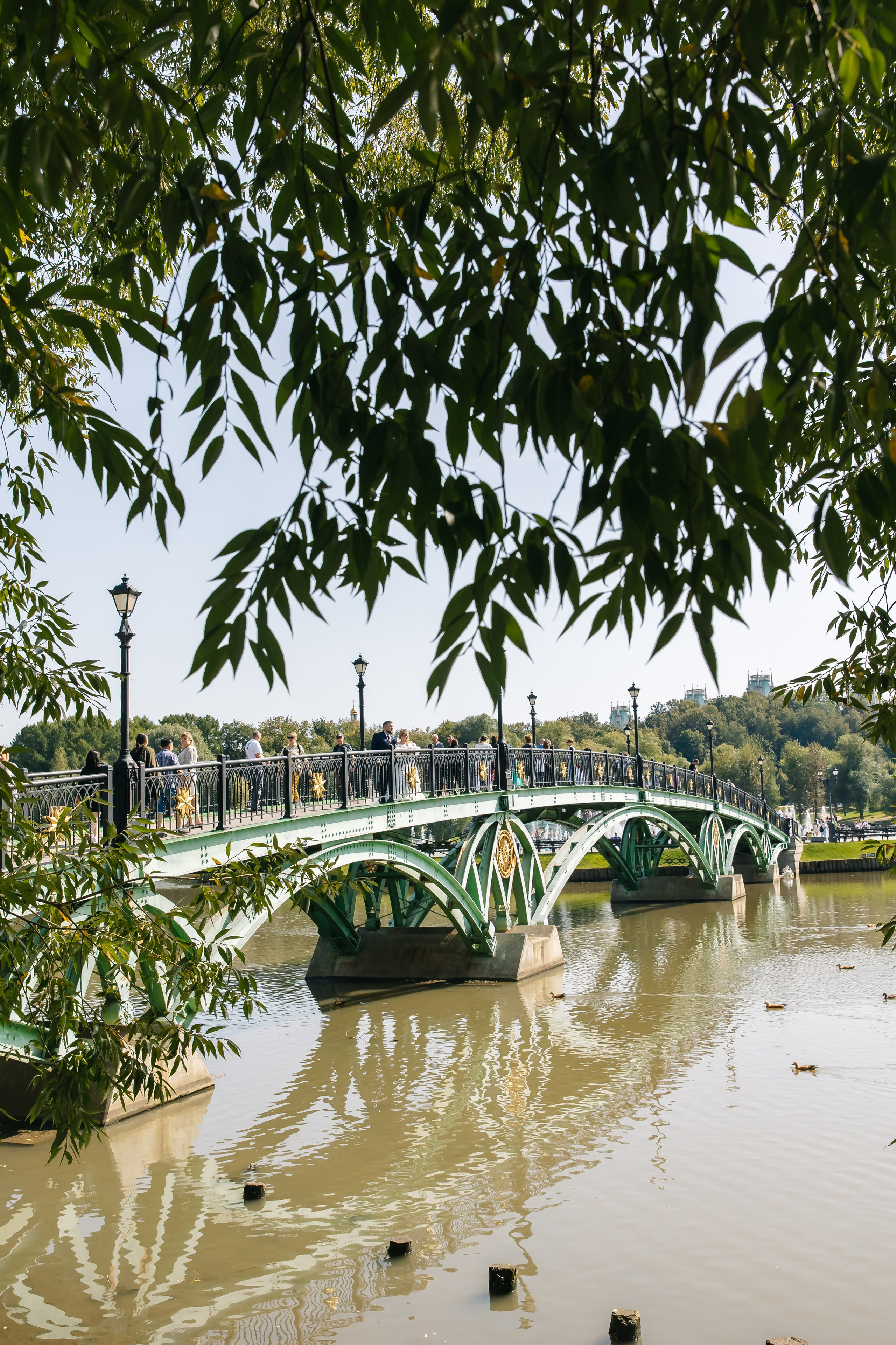 Дмитрий и Анастасия. Свадебный и семейный фотограф в Рязани Саша Крутых