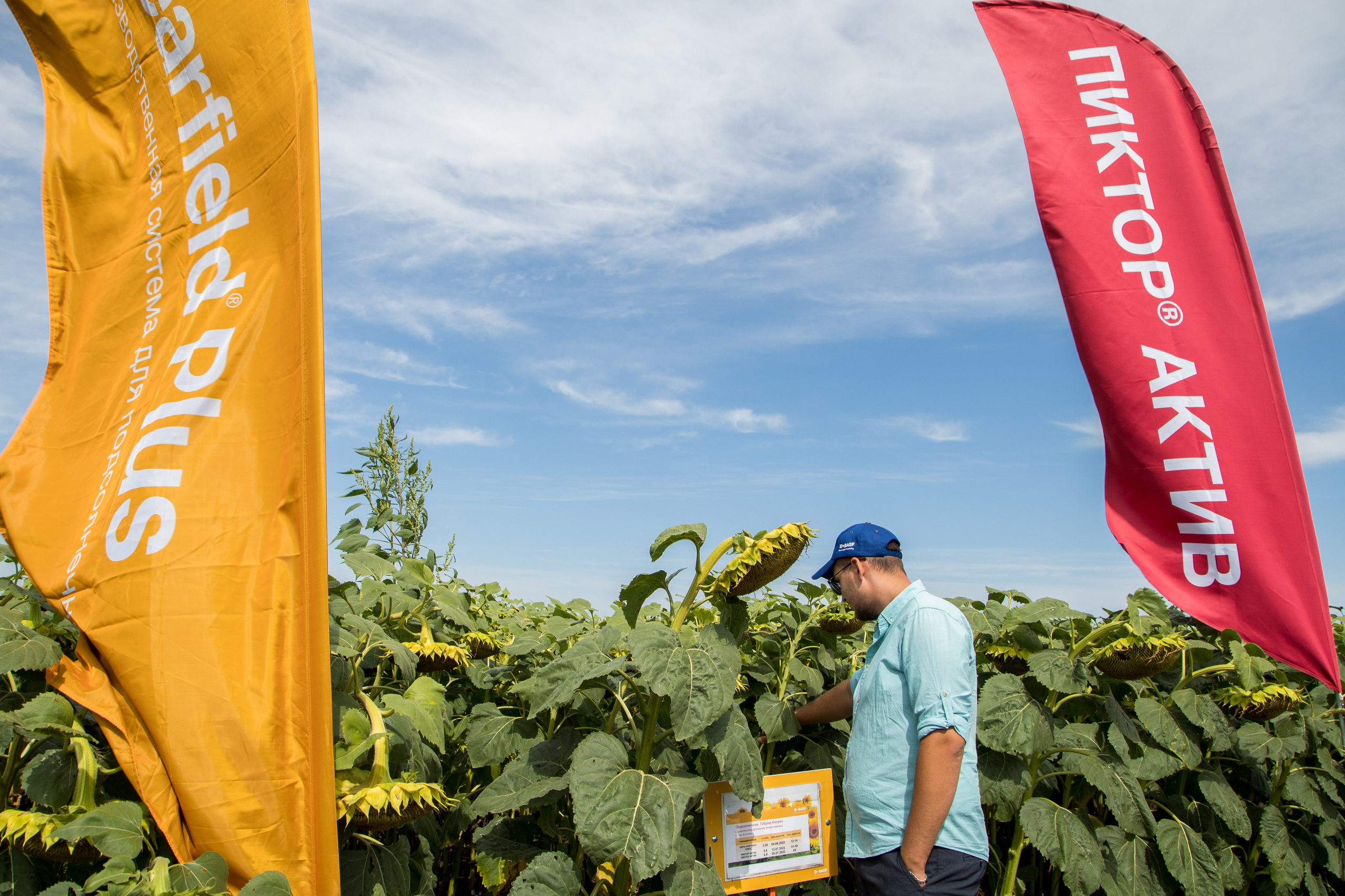 Решения для сельского хозяйства BASF 16.08.2022. Владислав Волков | Фотография и видеосъемка в Воронеже