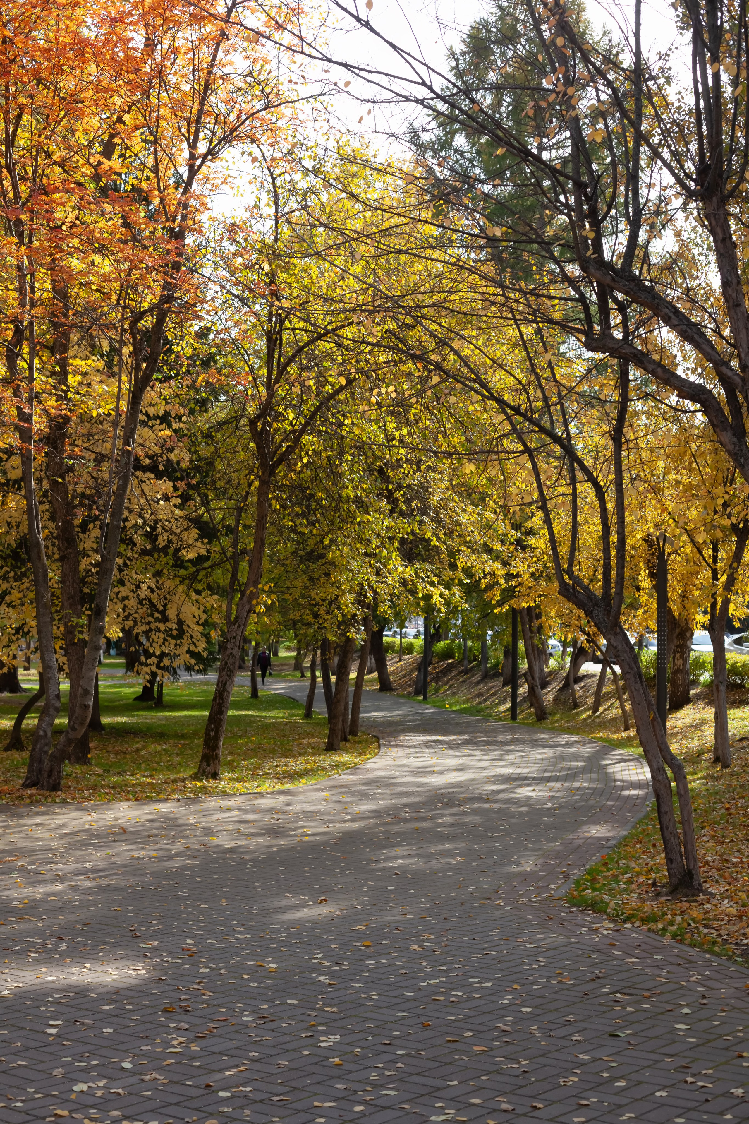 Мадам Осень. Фотограф в Томске Евгения Гуляева