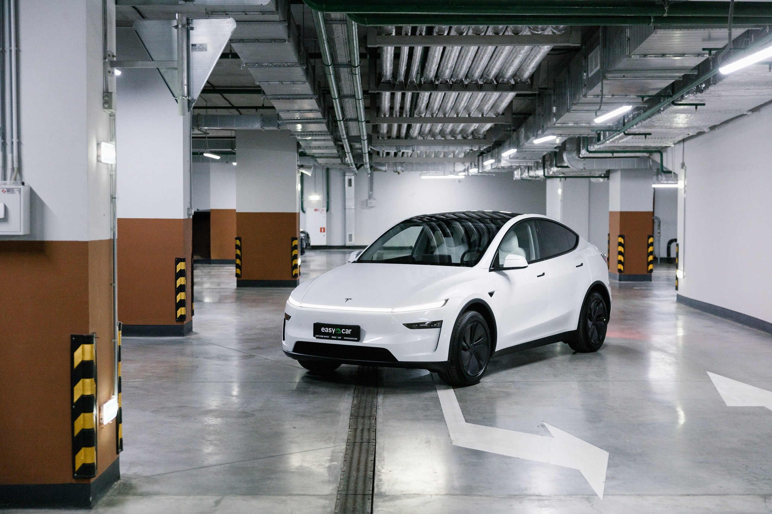 Model Y+. Эстетика Sveta