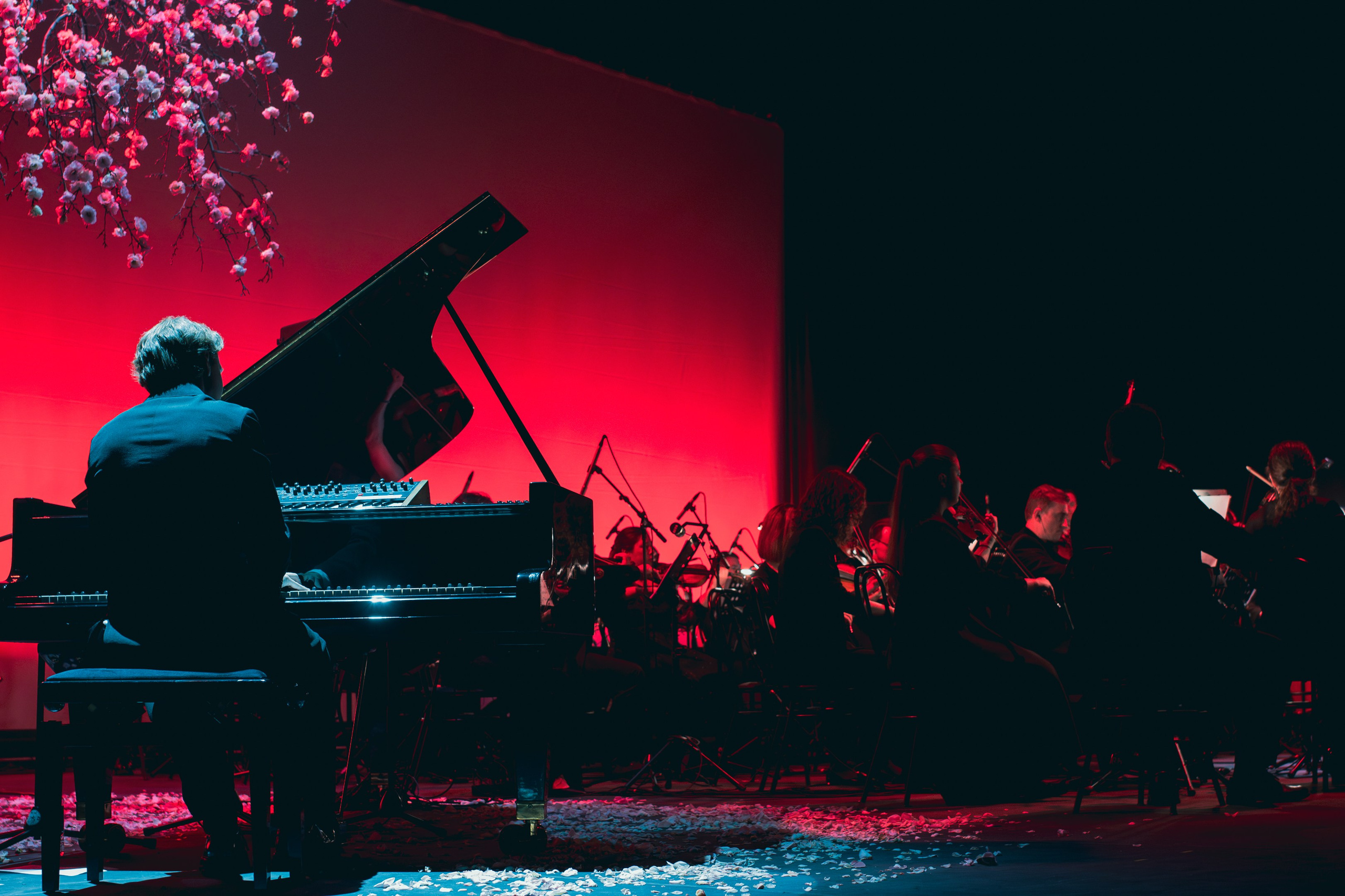 Никола Мельников / 2024. OOPS