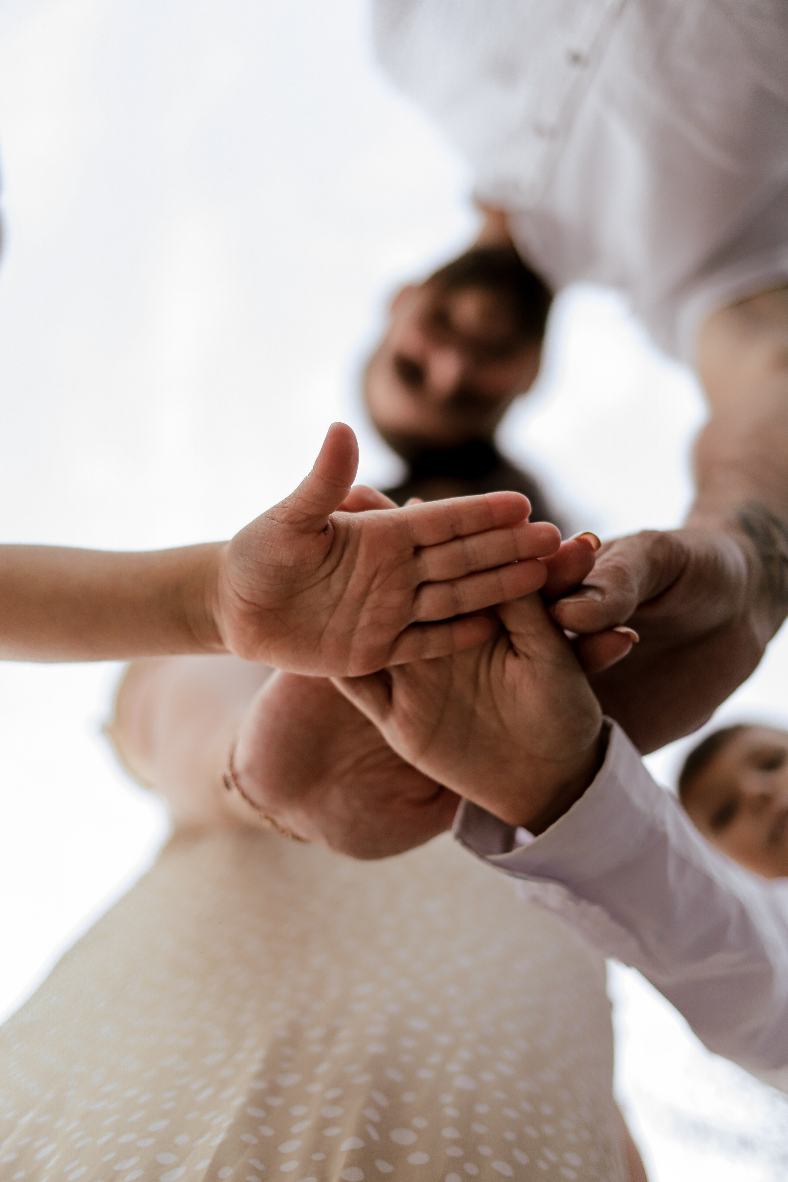 Семья Пьянковых