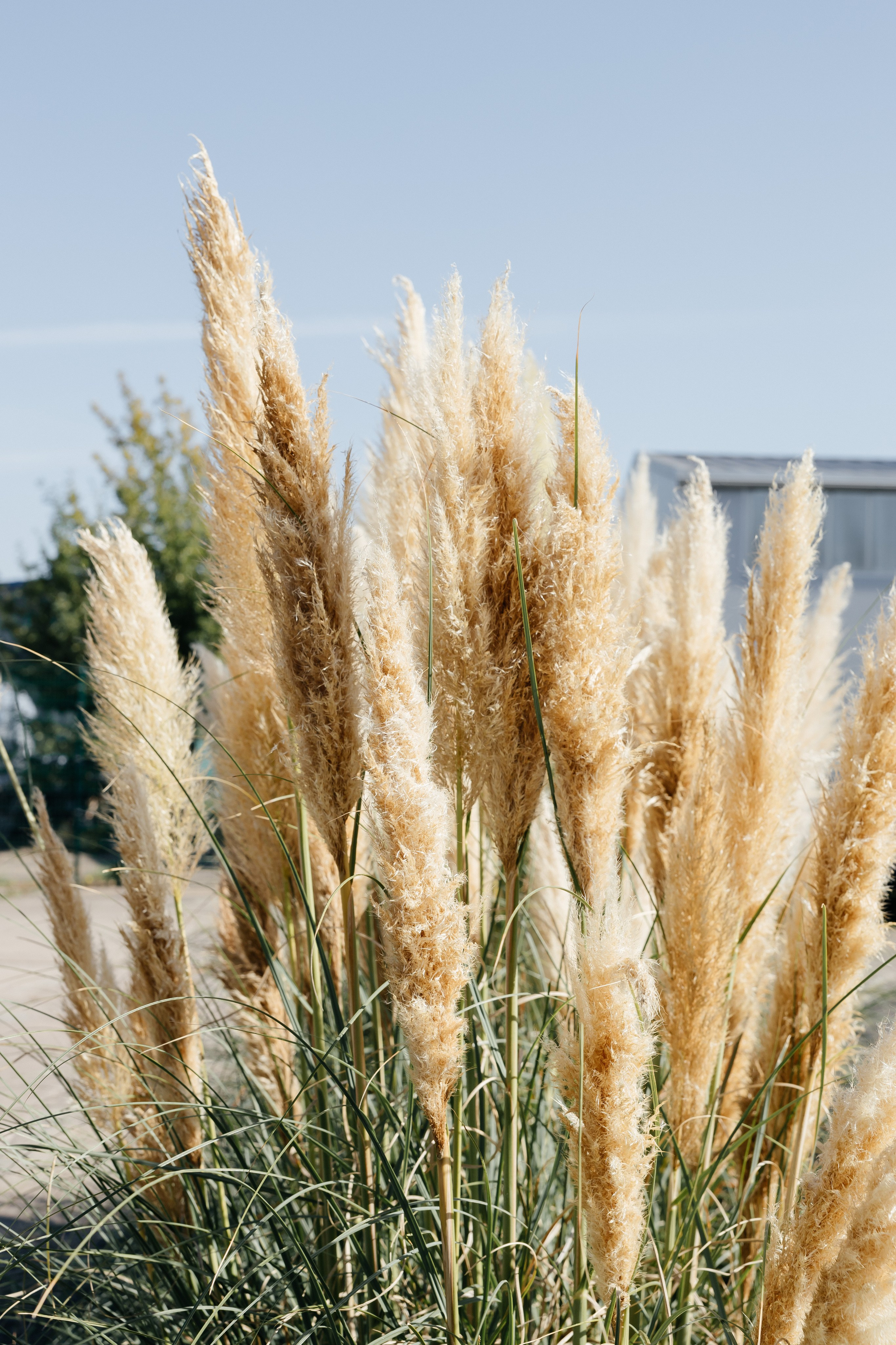 Проект 2. BT Innovation Германия. Дата: Сентябрь 2023. Профессиональный фотограф в городе Астана/Алматы Даурен Сембаев