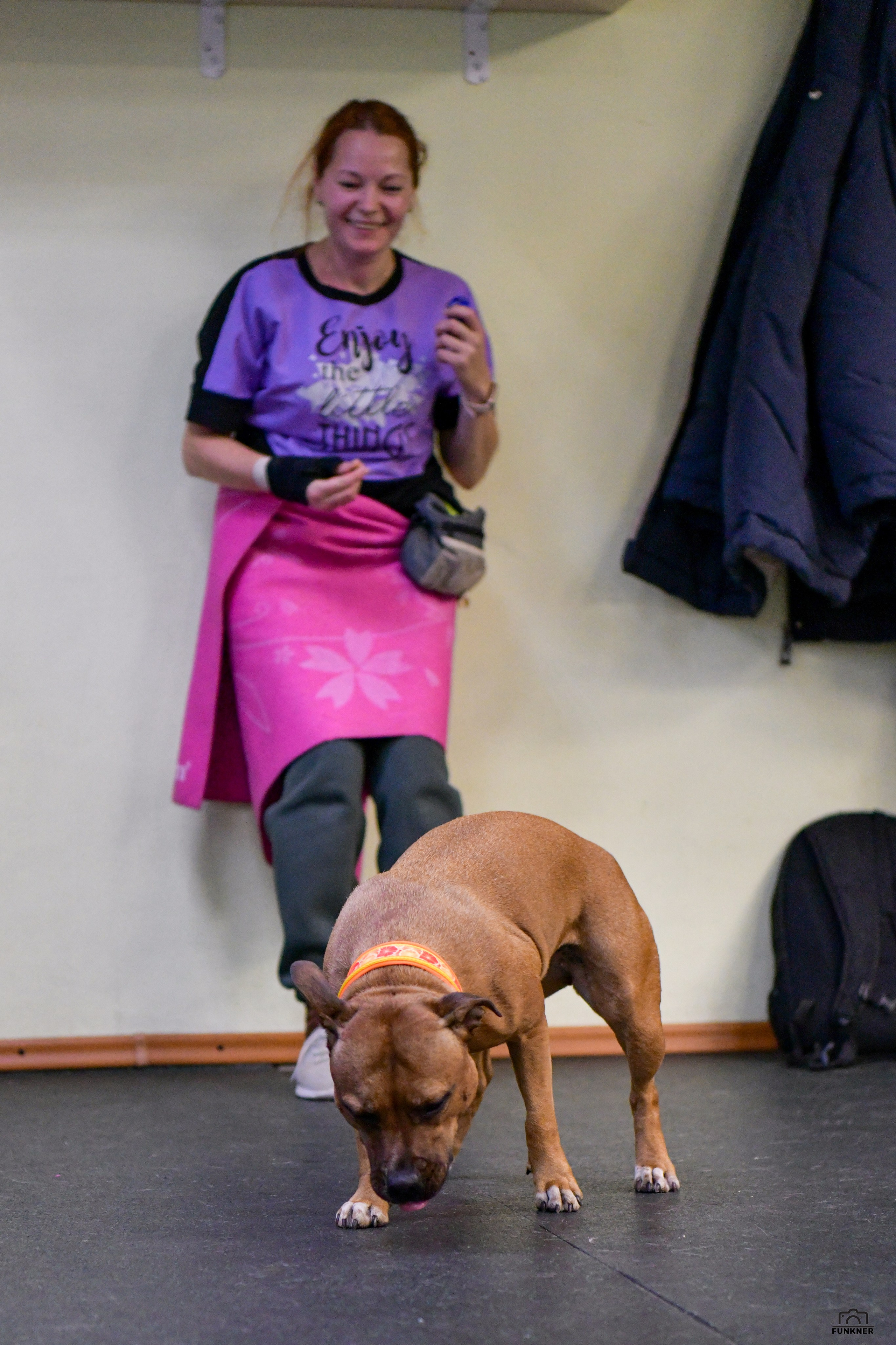 Кинологический клуб «Бодрый хвост». Свой взгляд через объектив