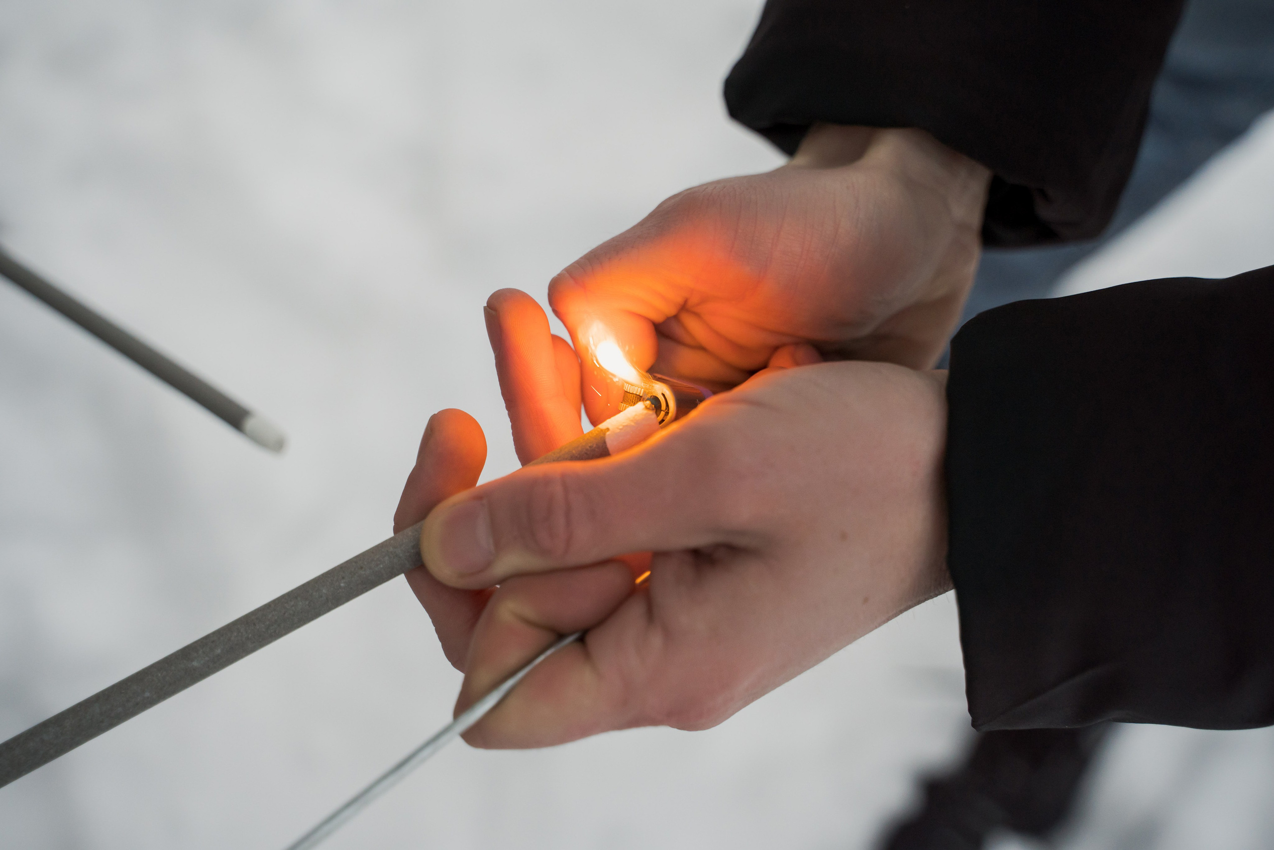 Зимняя прогулка. Главная