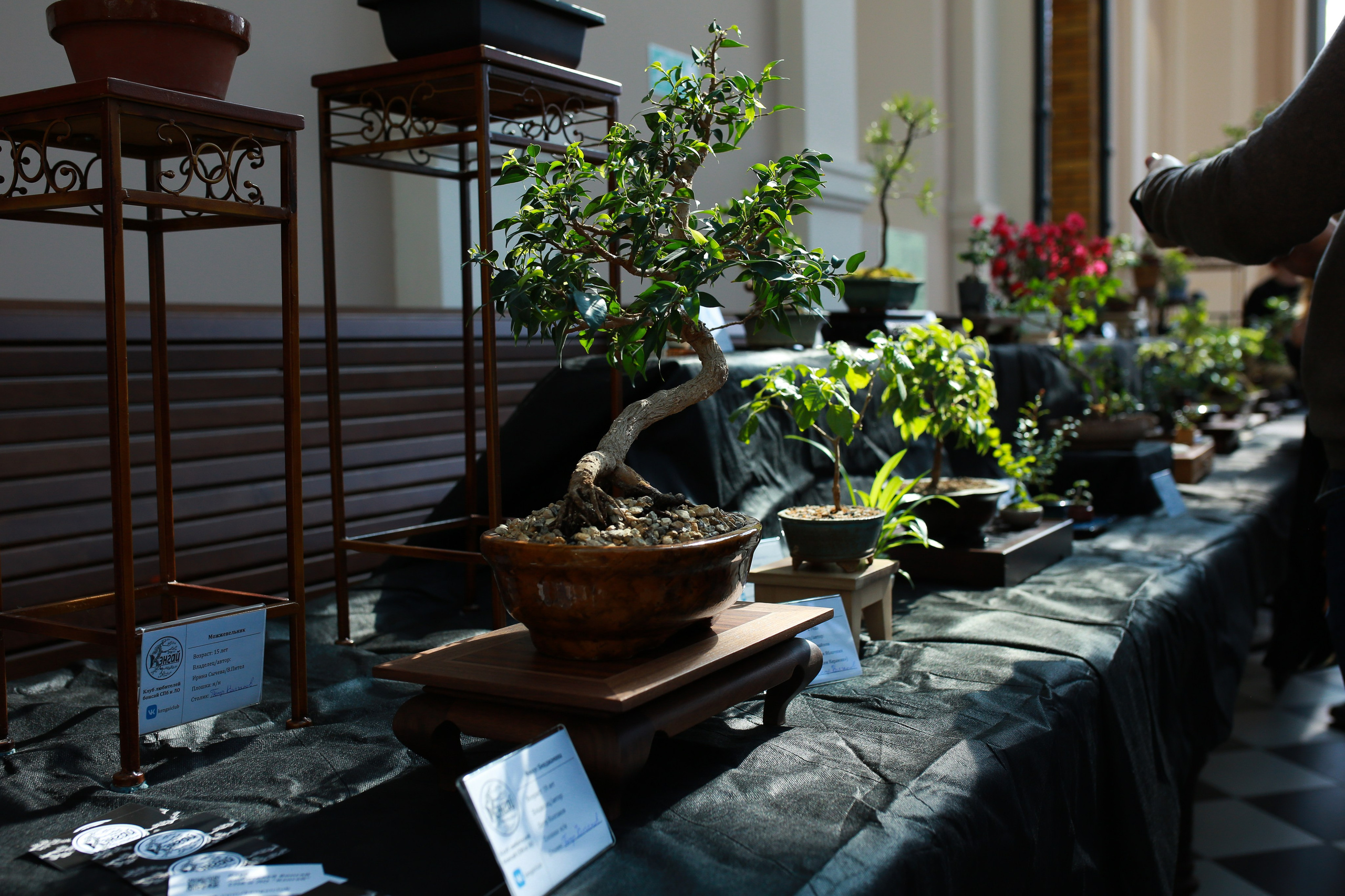 Городские события. Репортажный и портретный фотограф Полина Ершова