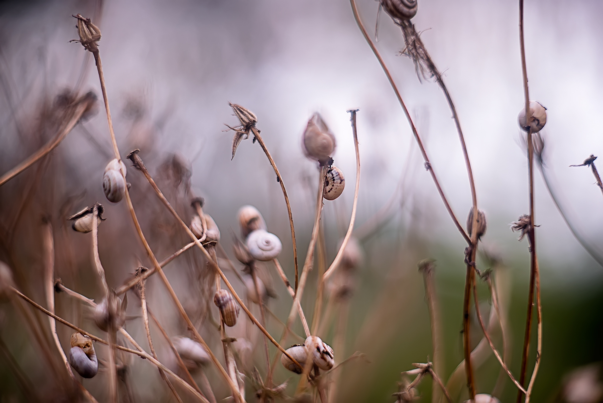 Акварели Гелиоса. Фотограф в Краснодаре и Бишкеке Галина Бокова
