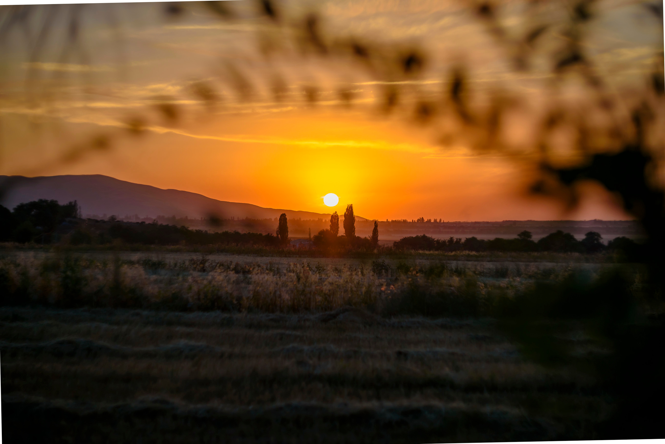 Акварели Гелиоса. Фотограф в Краснодаре и Бишкеке Галина Бокова