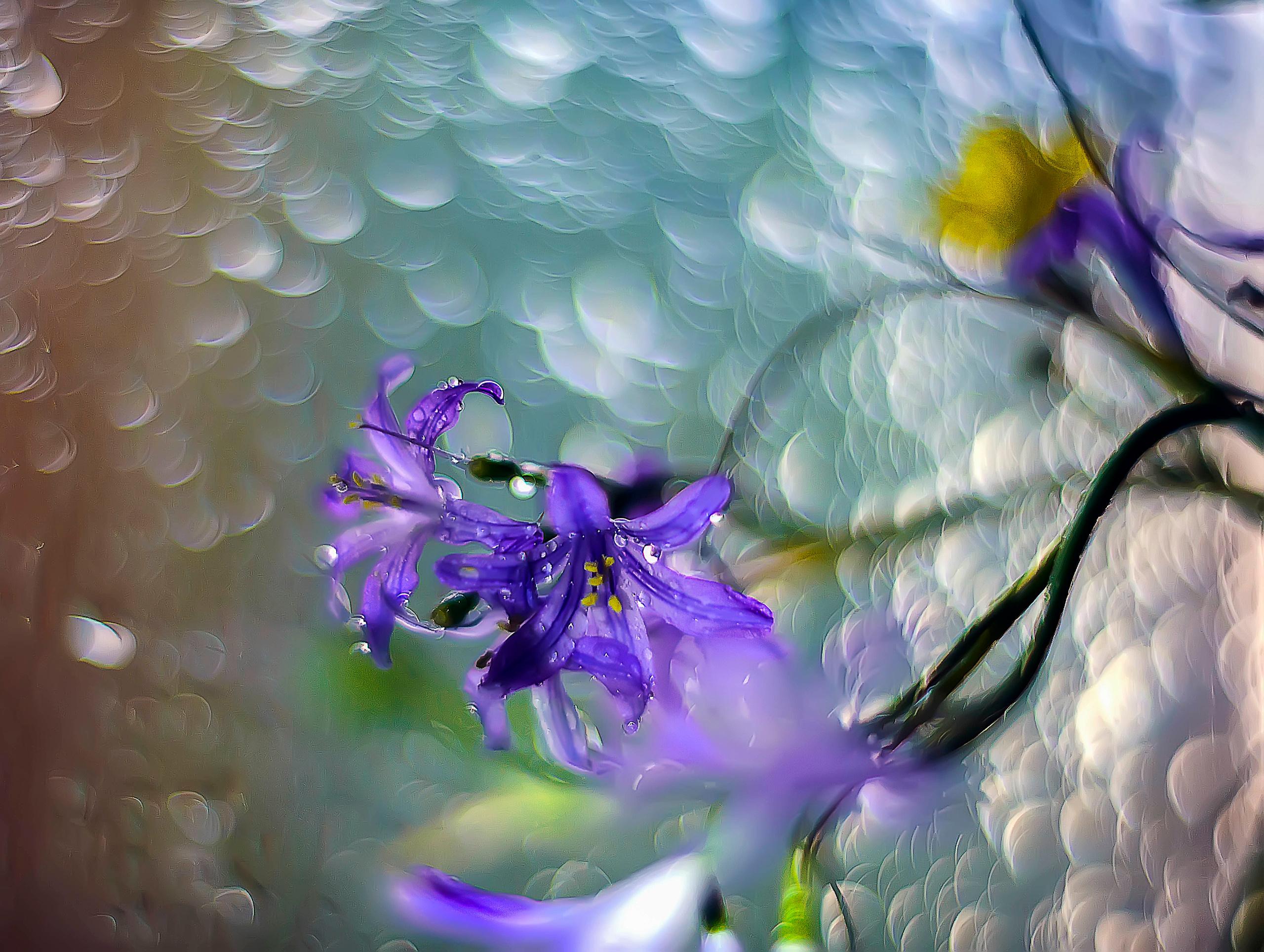 Акварели Гелиоса. Фотограф в Краснодаре и Бишкеке Галина Бокова