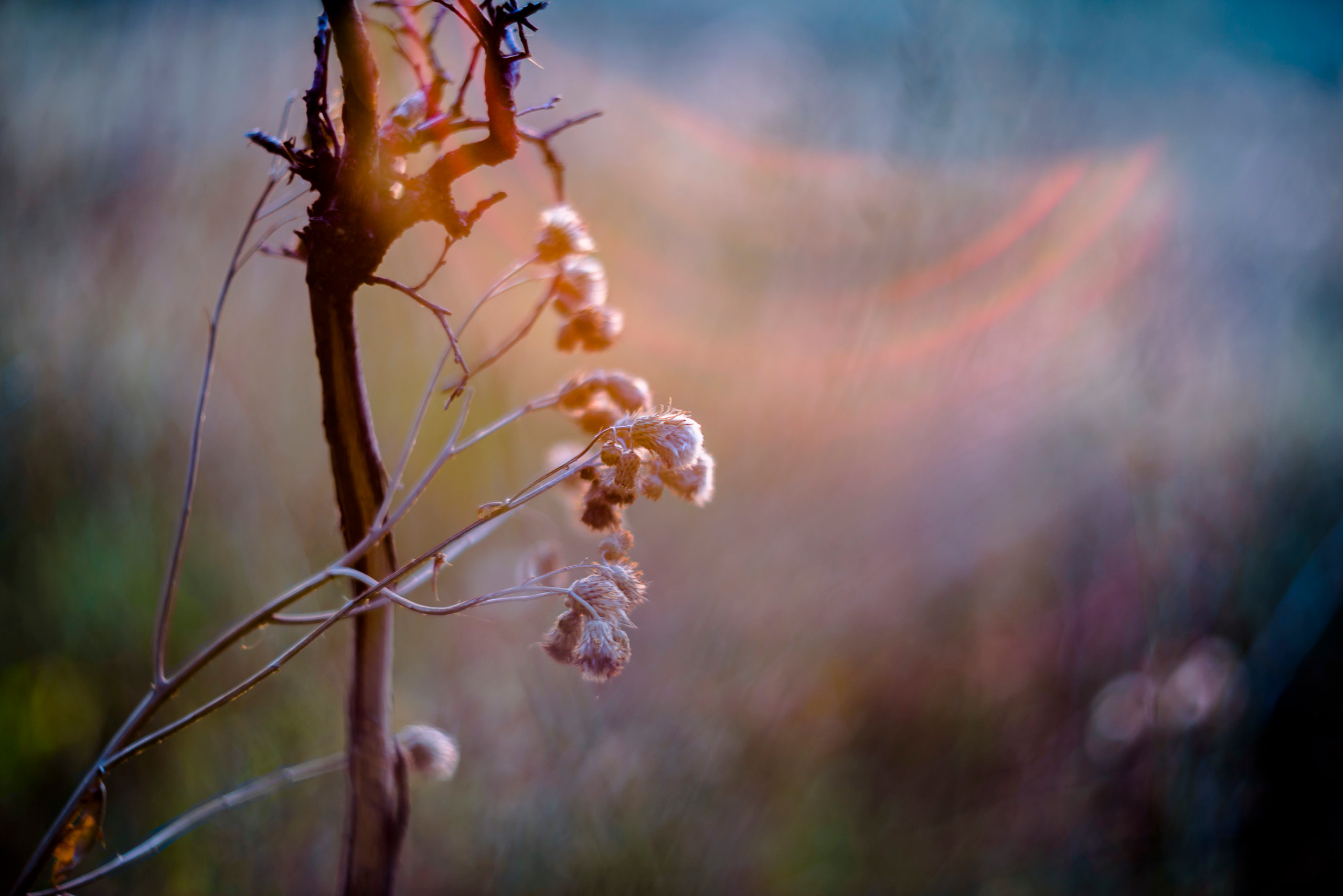 Акварели Гелиоса. Фотограф в Краснодаре и Бишкеке Галина Бокова