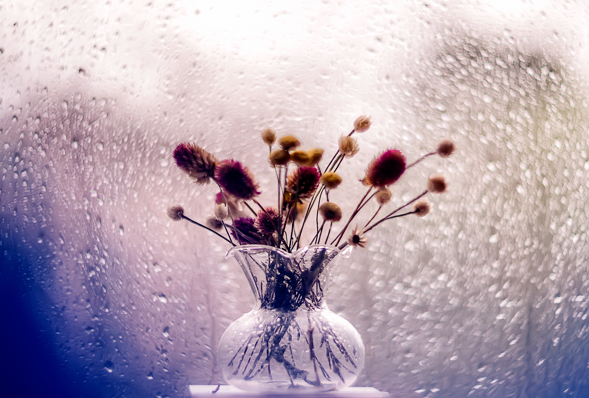 Акварели Гелиоса. Фотограф в Краснодаре и Бишкеке Галина Бокова