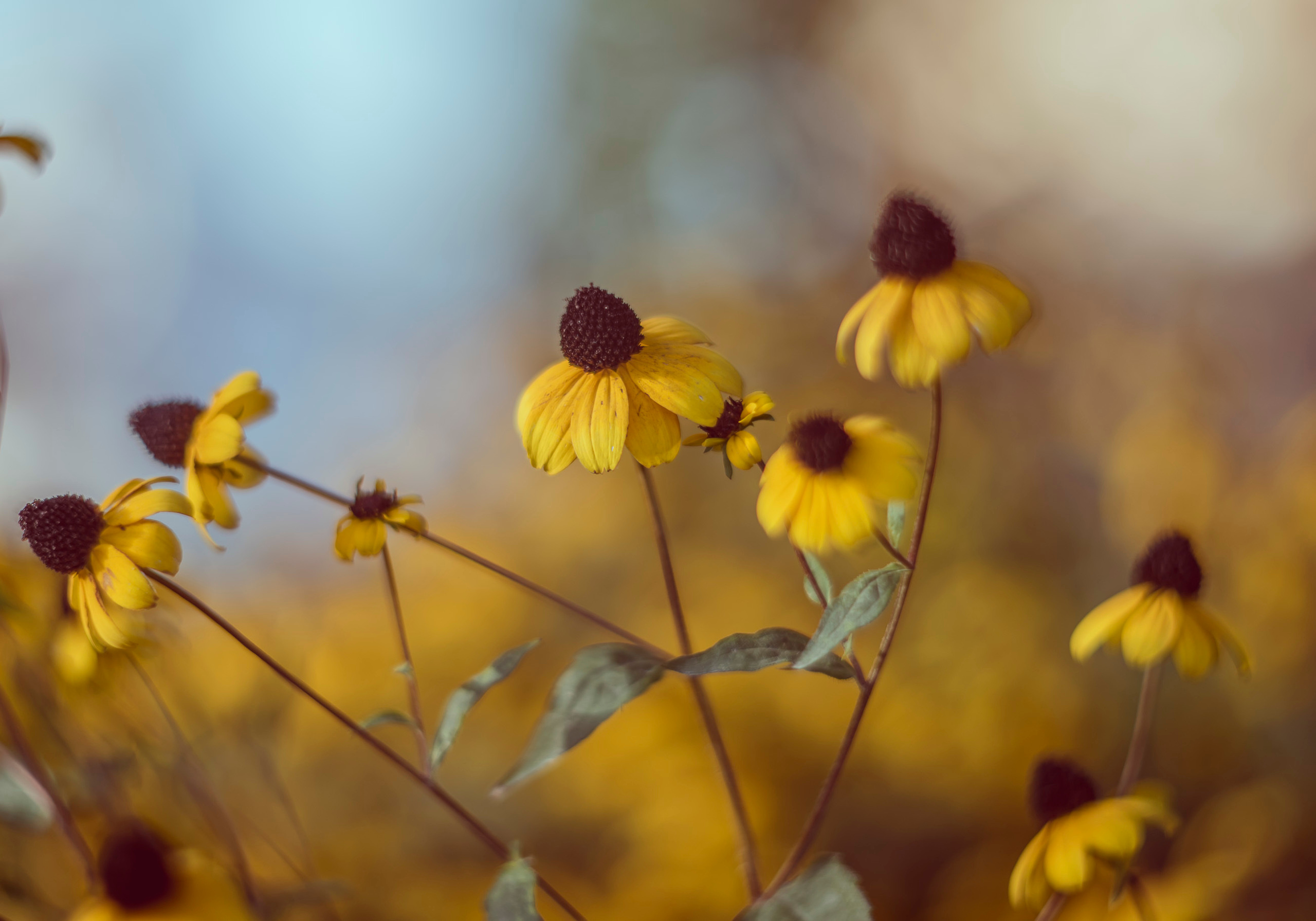Акварели Гелиоса. Фотограф в Краснодаре и Бишкеке Галина Бокова