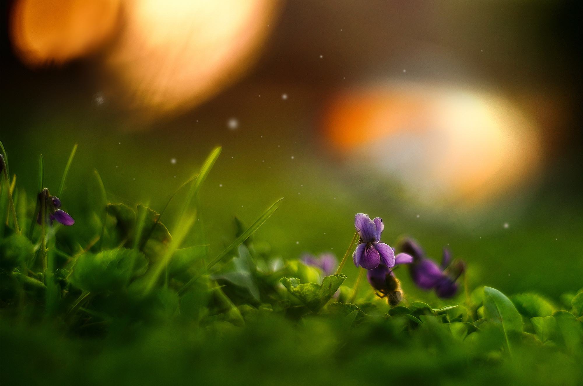 Акварели Гелиоса. Фотограф в Краснодаре и Бишкеке Галина Бокова