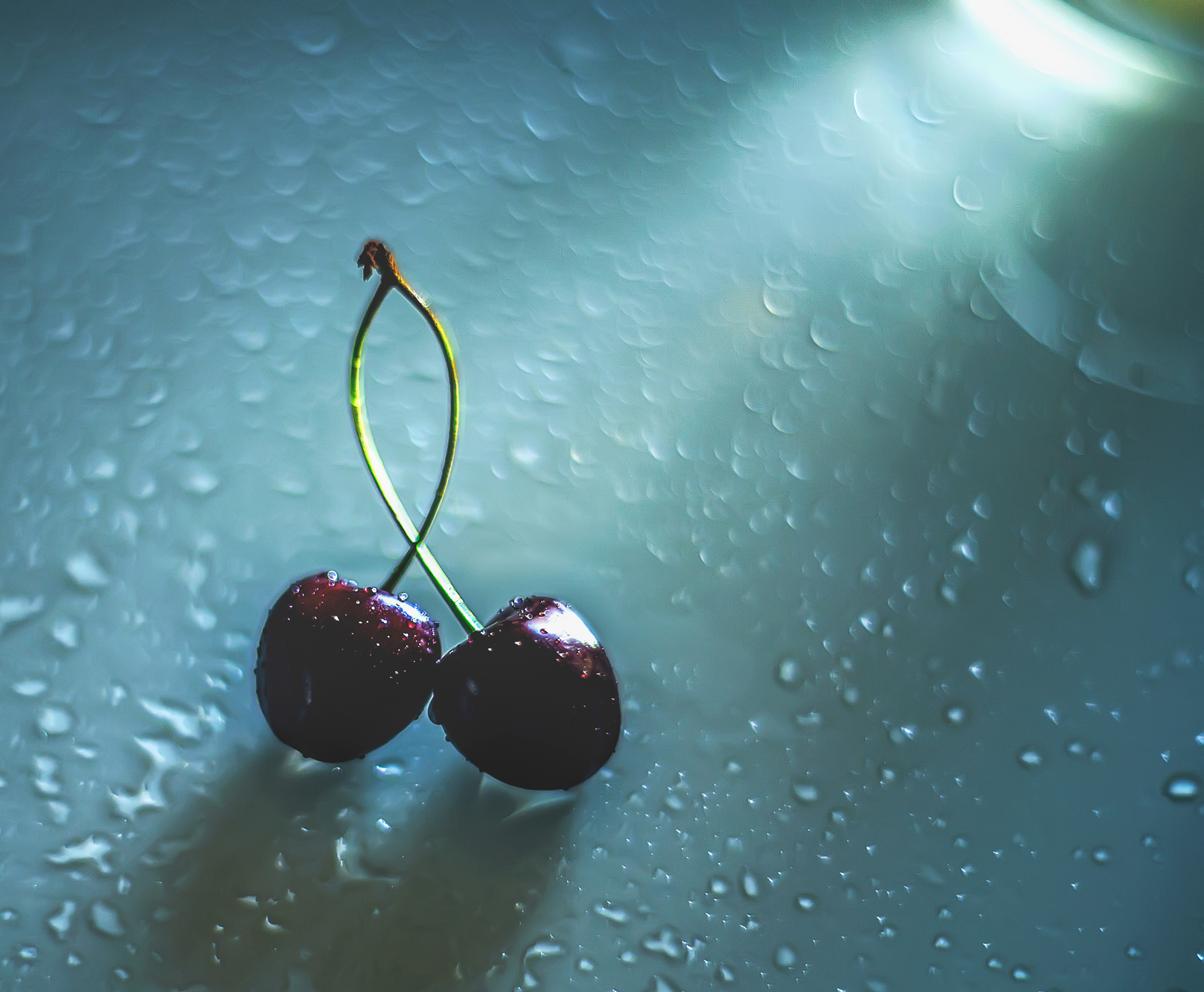 Акварели Гелиоса. Фотограф в Краснодаре и Бишкеке Галина Бокова