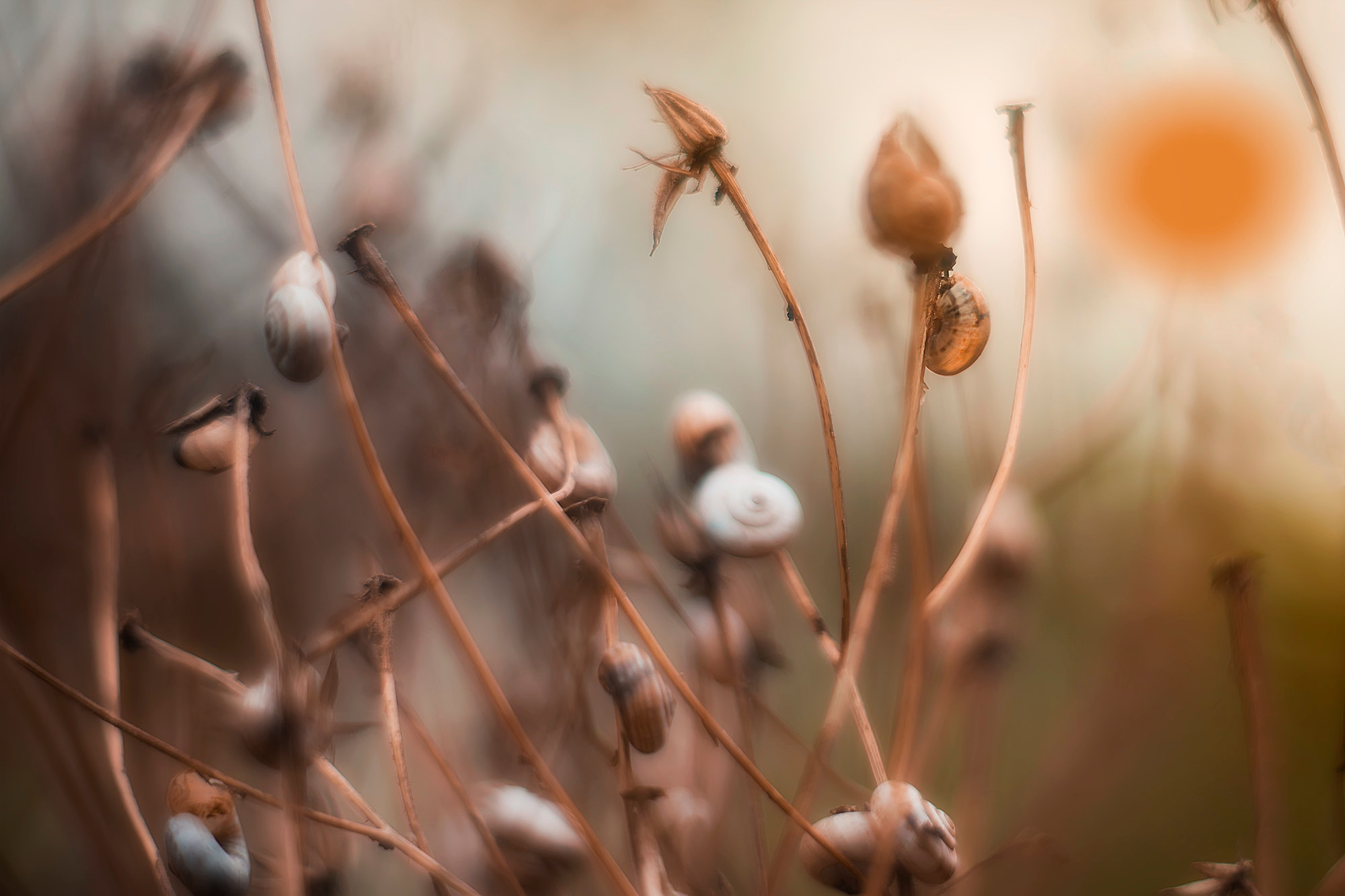 Акварели Гелиоса. Фотограф в Краснодаре и Бишкеке Галина Бокова