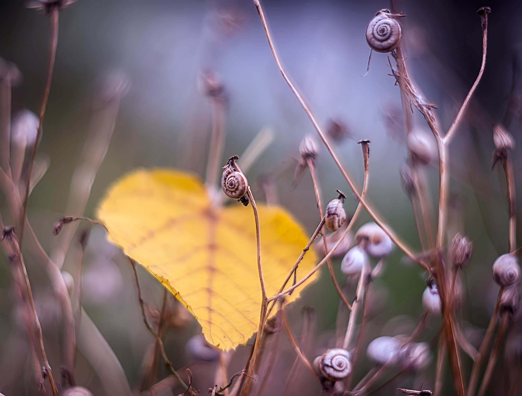 Акварели Гелиоса. Фотограф в Краснодаре и Бишкеке Галина Бокова