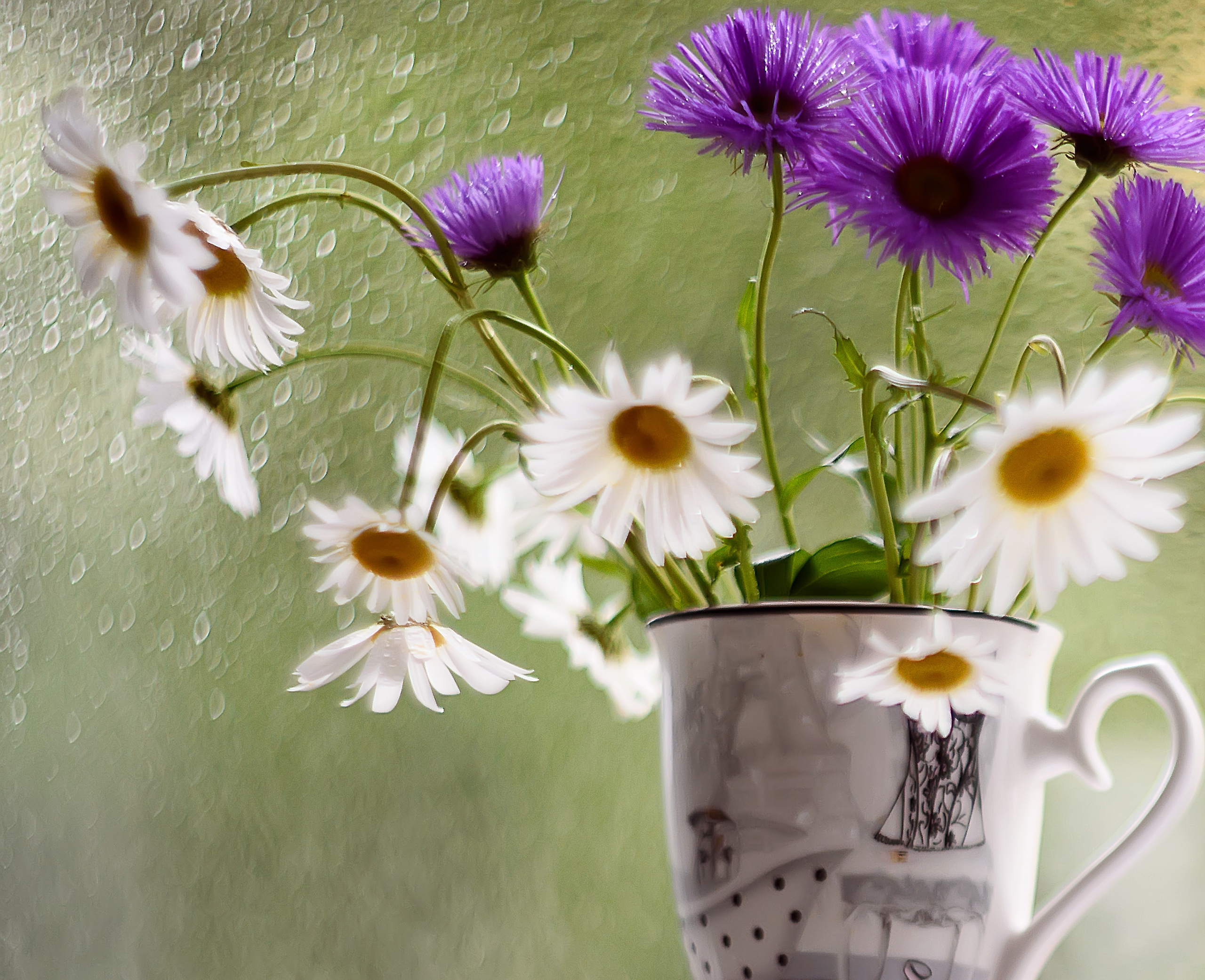Акварели Гелиоса. Фотограф в Краснодаре и Бишкеке Галина Бокова